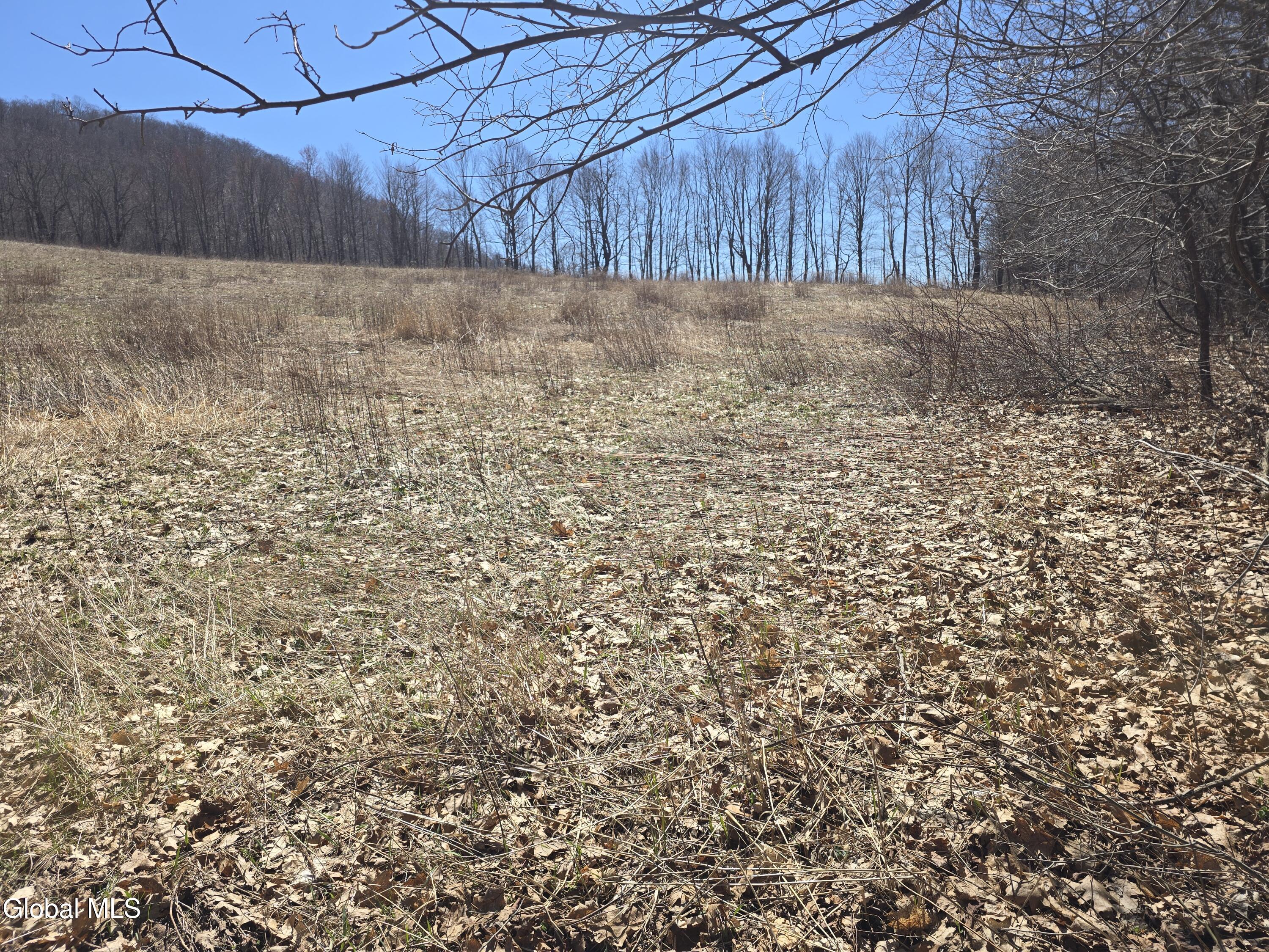 17052 Ny 22 Berlin NY 12138