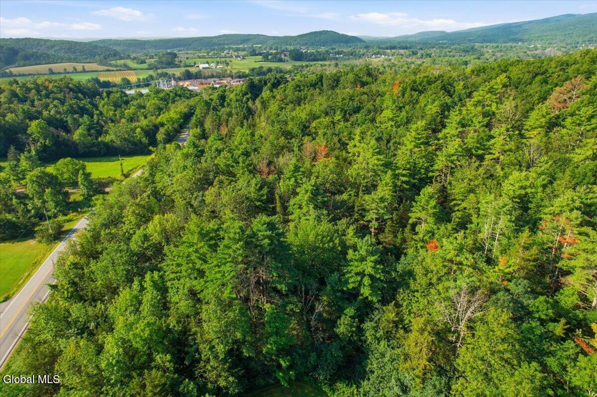 L31.010 County Route 9a Whitehall NY 12887