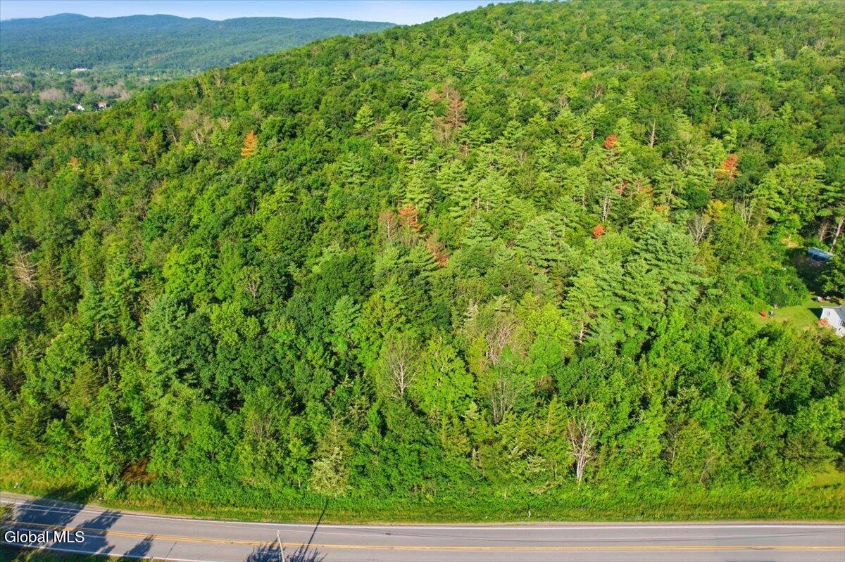 L31.010 County Route 9a Whitehall NY 12887