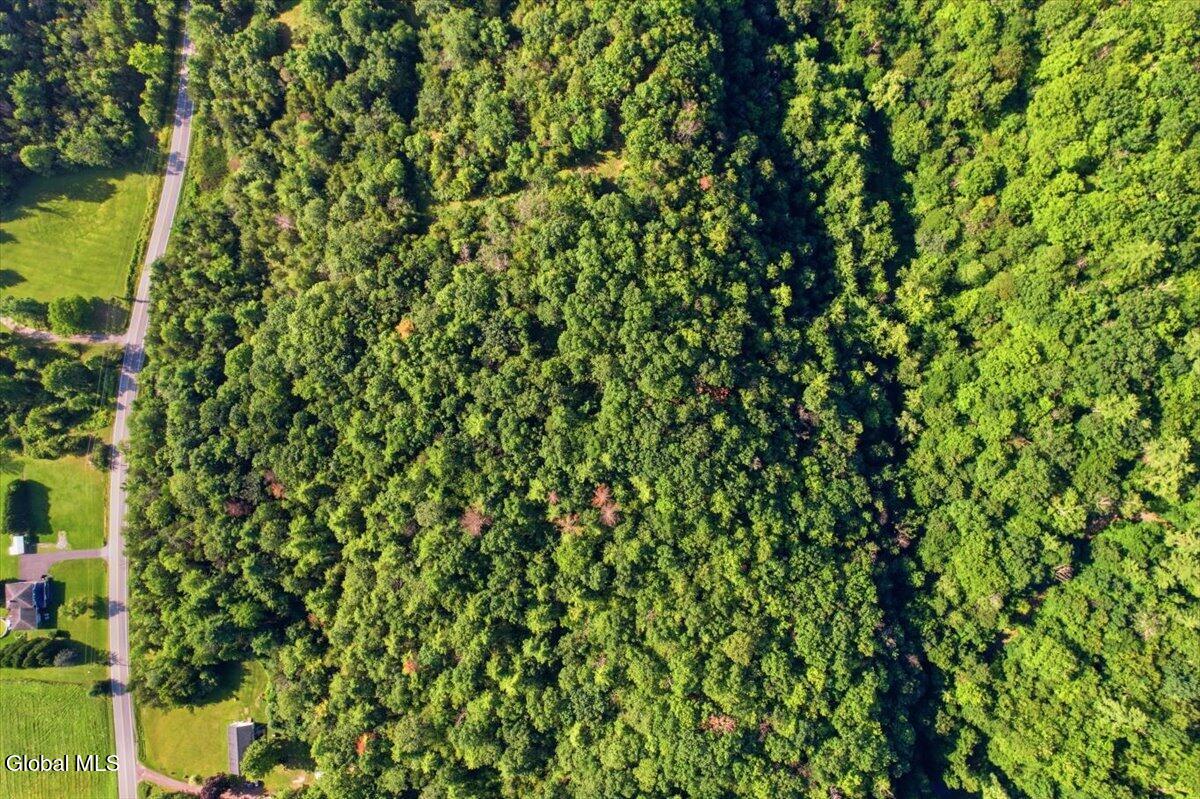 L31.010 County Route 9a Whitehall NY 12887