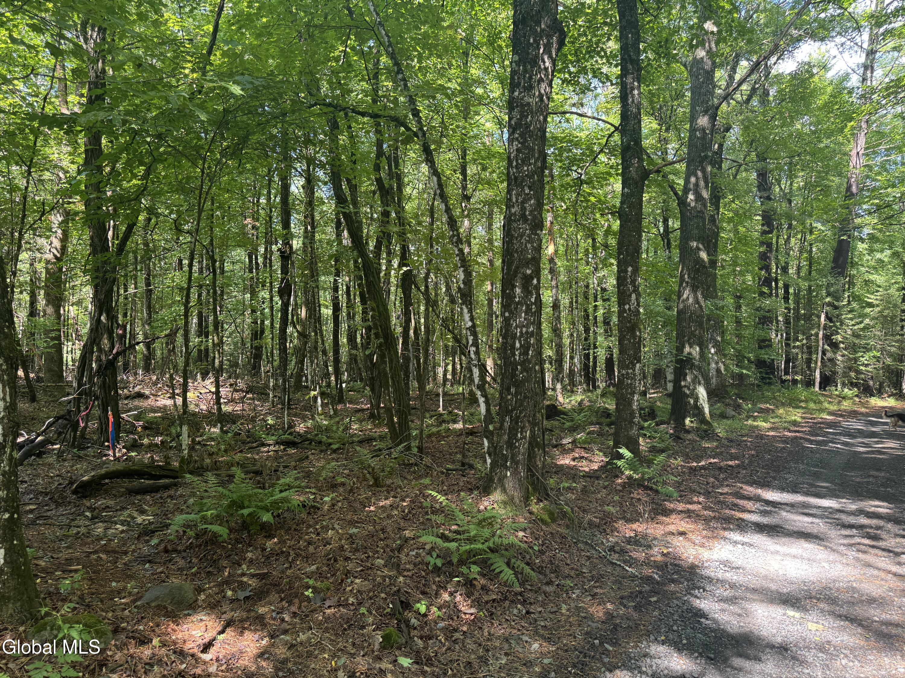 1338 River Road North Creek NY 12853