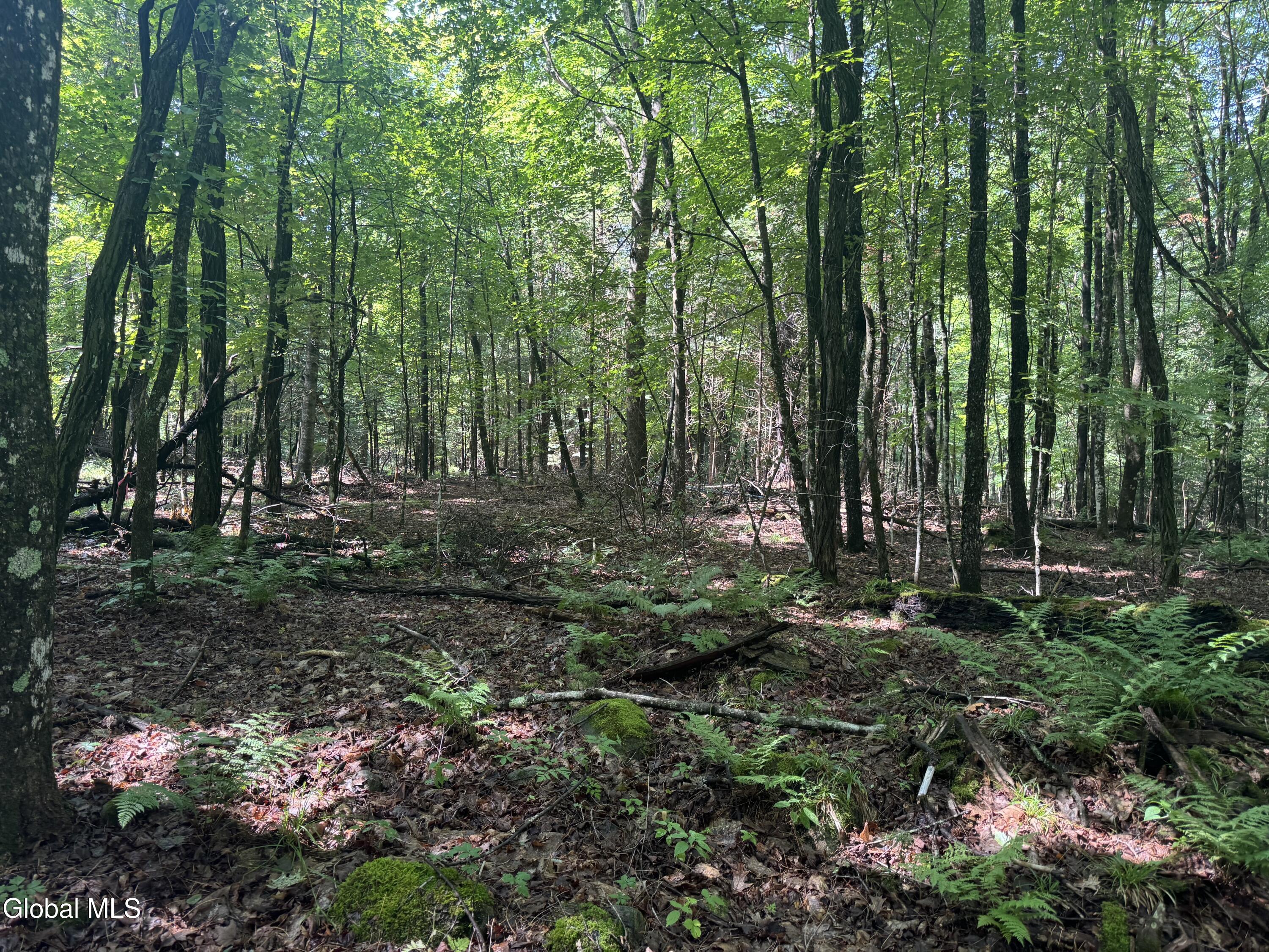 1338 River Road North Creek NY 12853