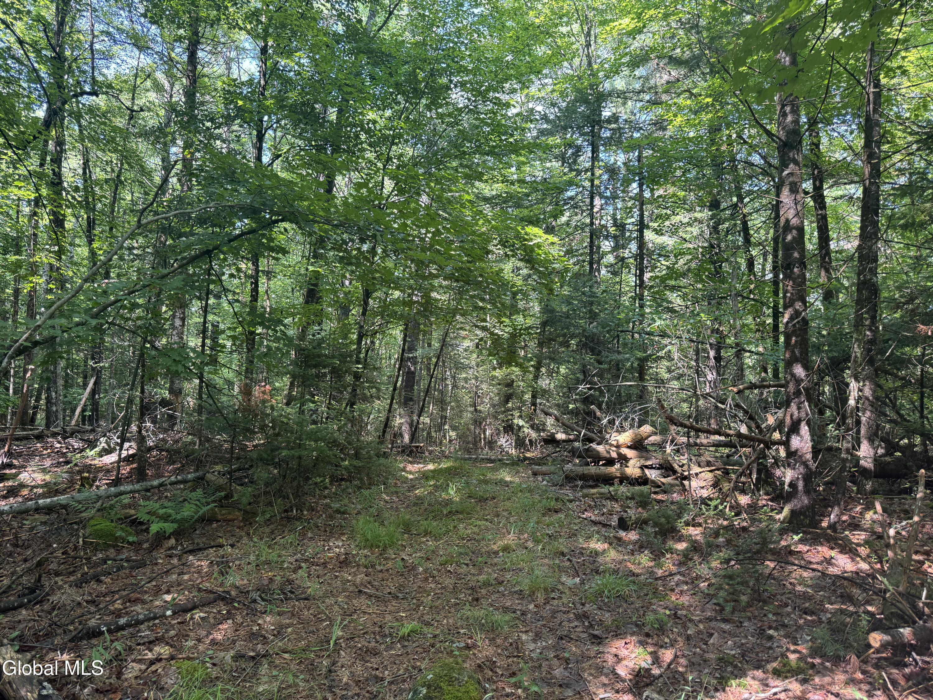 1338 River Road North Creek NY 12853