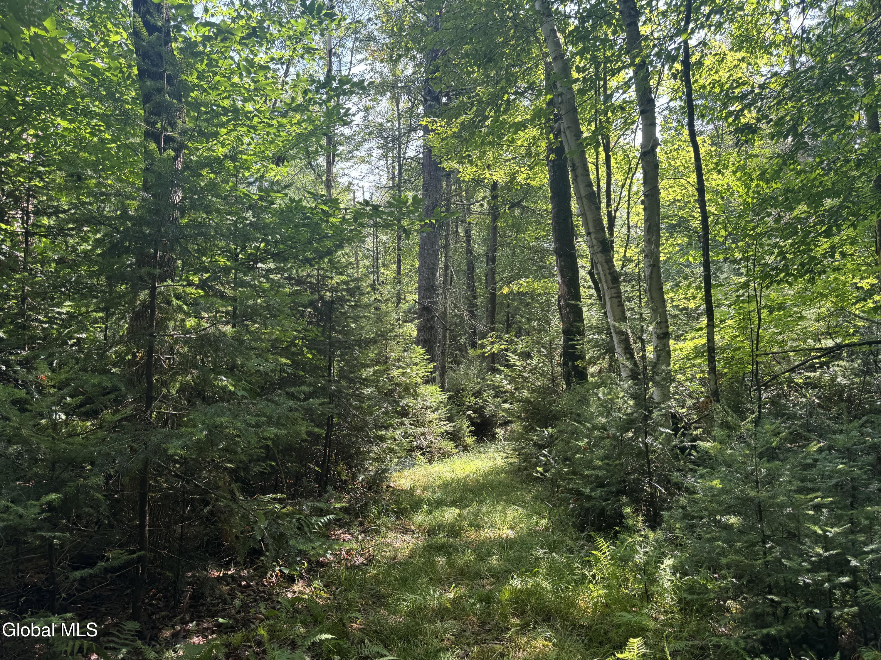 1338 River Road North Creek NY 12853