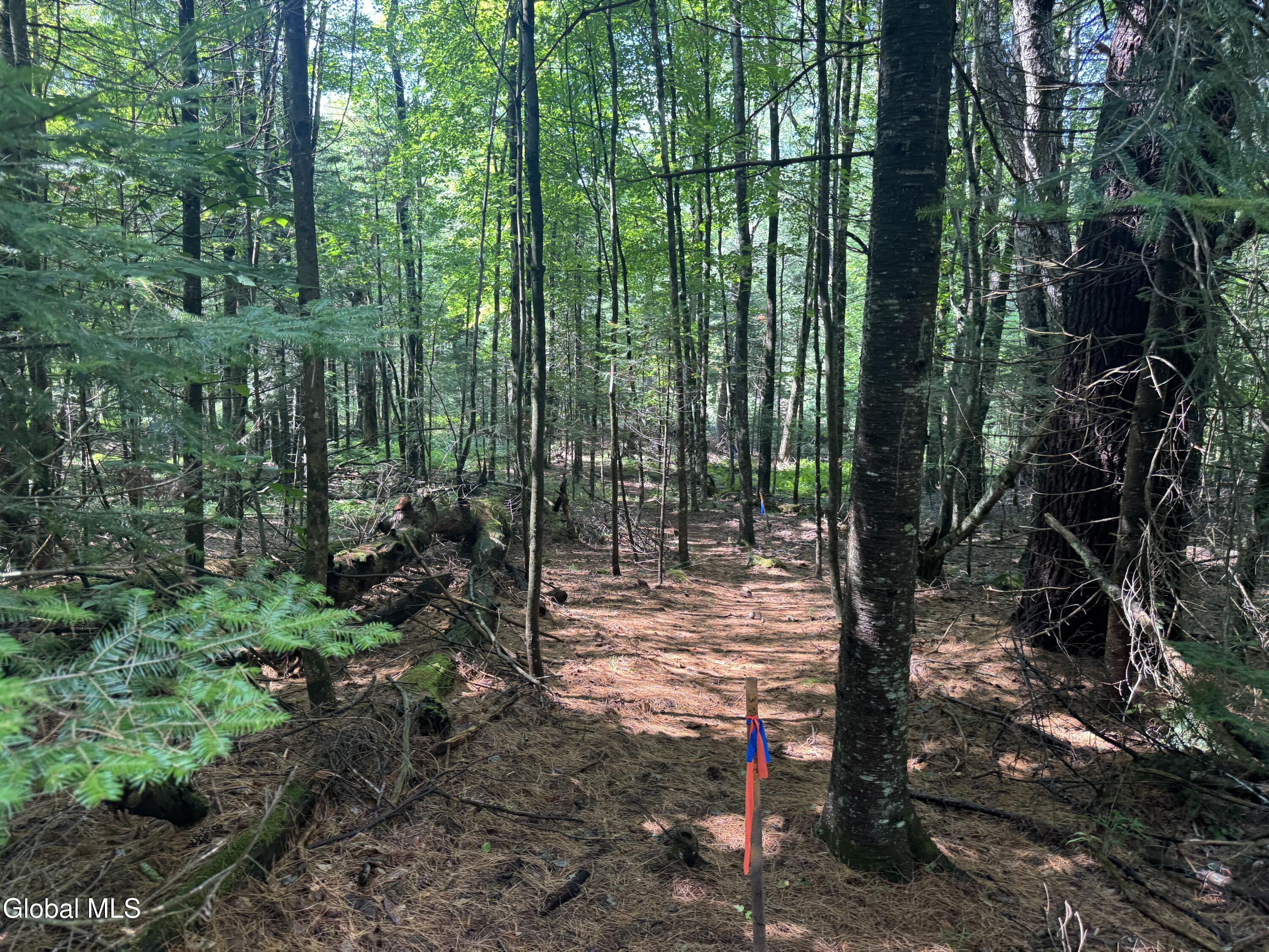 1338 River Road North Creek NY 12853