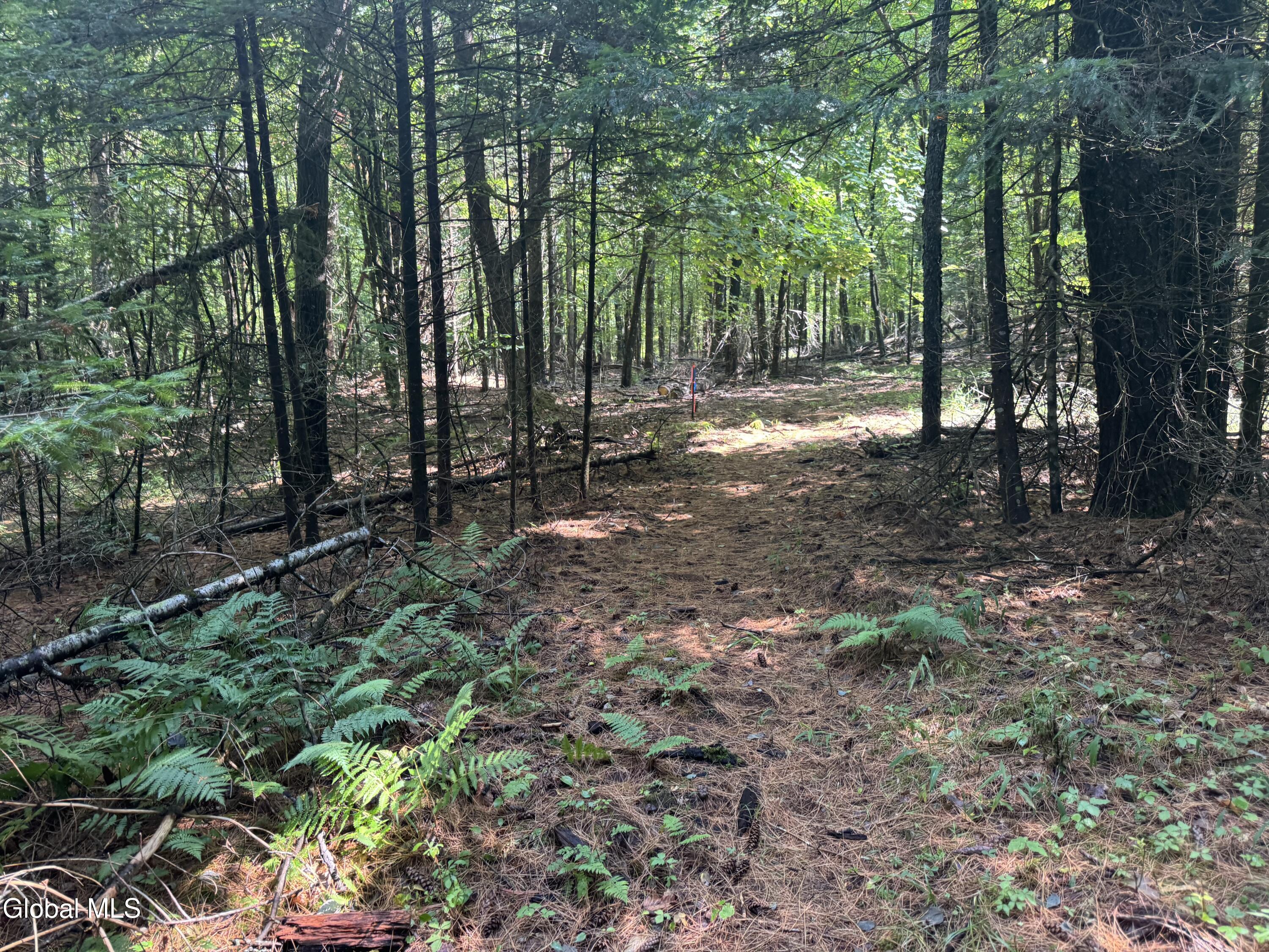 1338 River Road North Creek NY 12853