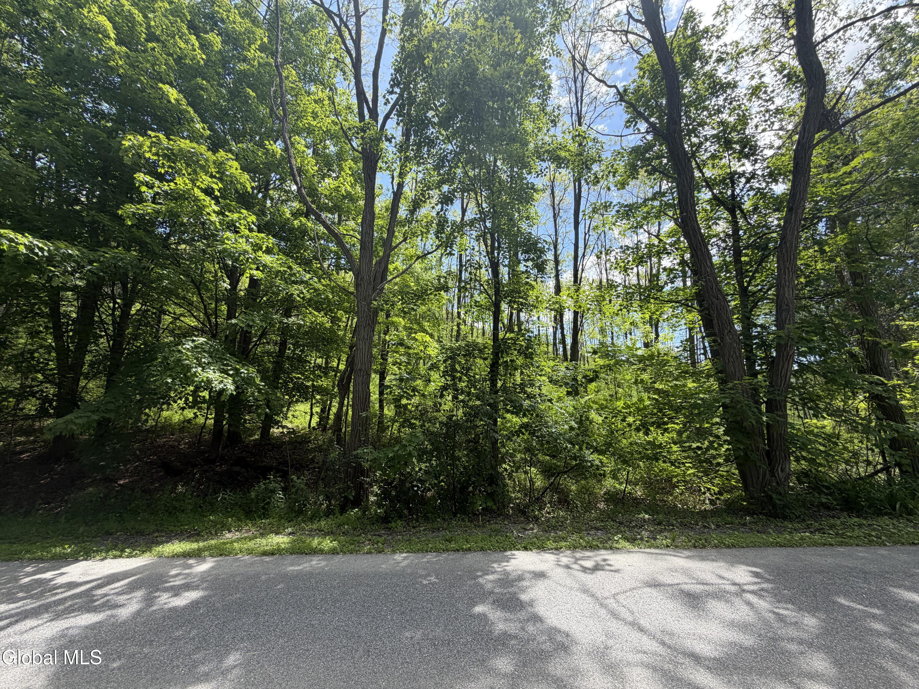 0 Aldous Road Granville NY 12832