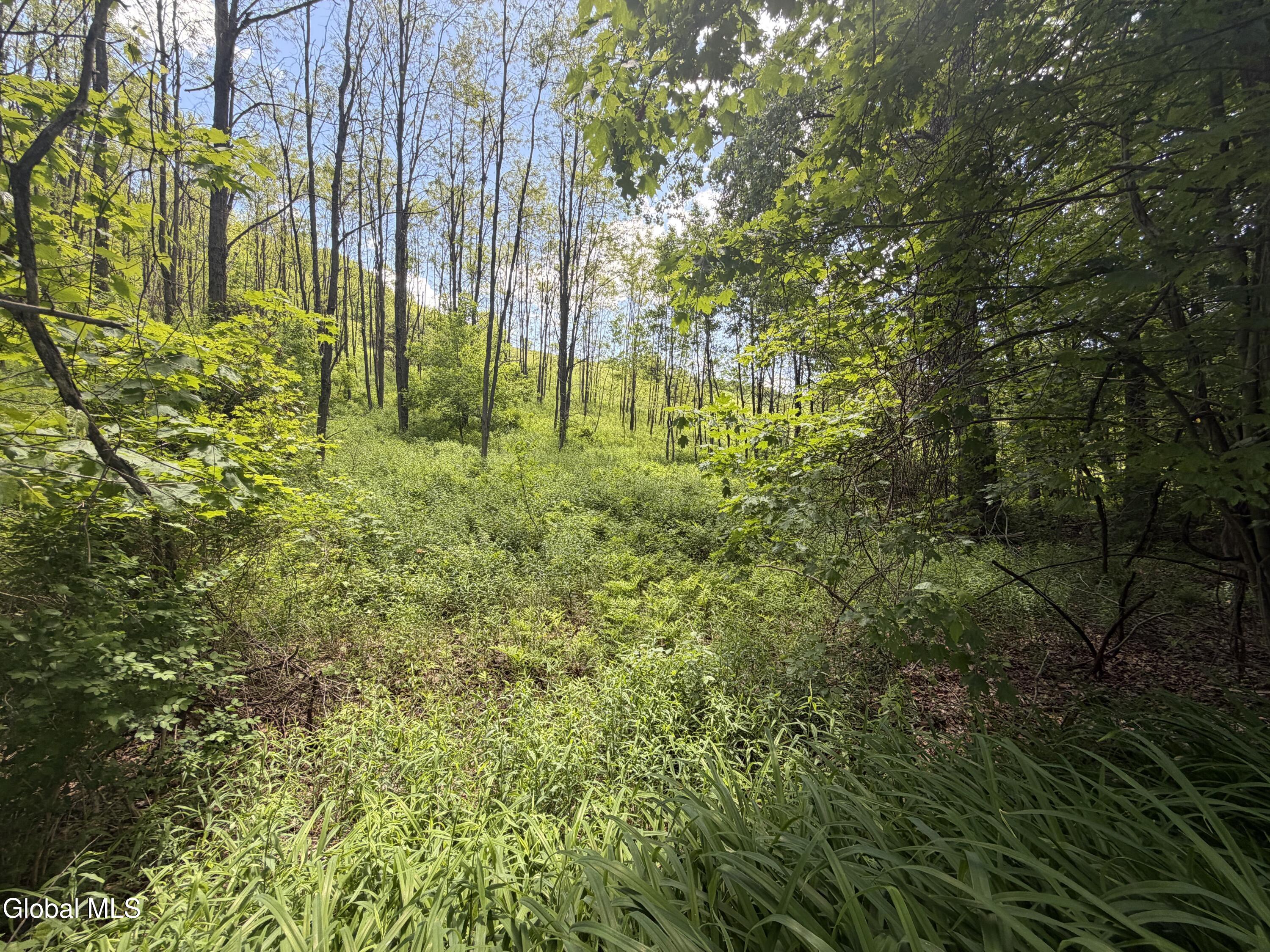 0 Aldous Road Granville NY 12832