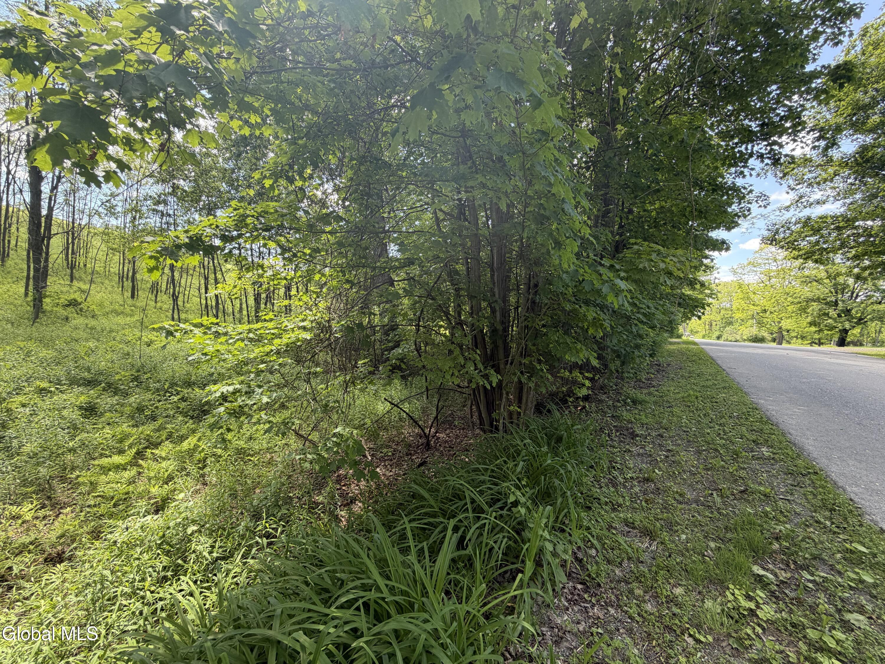 0 Aldous Road Granville NY 12832