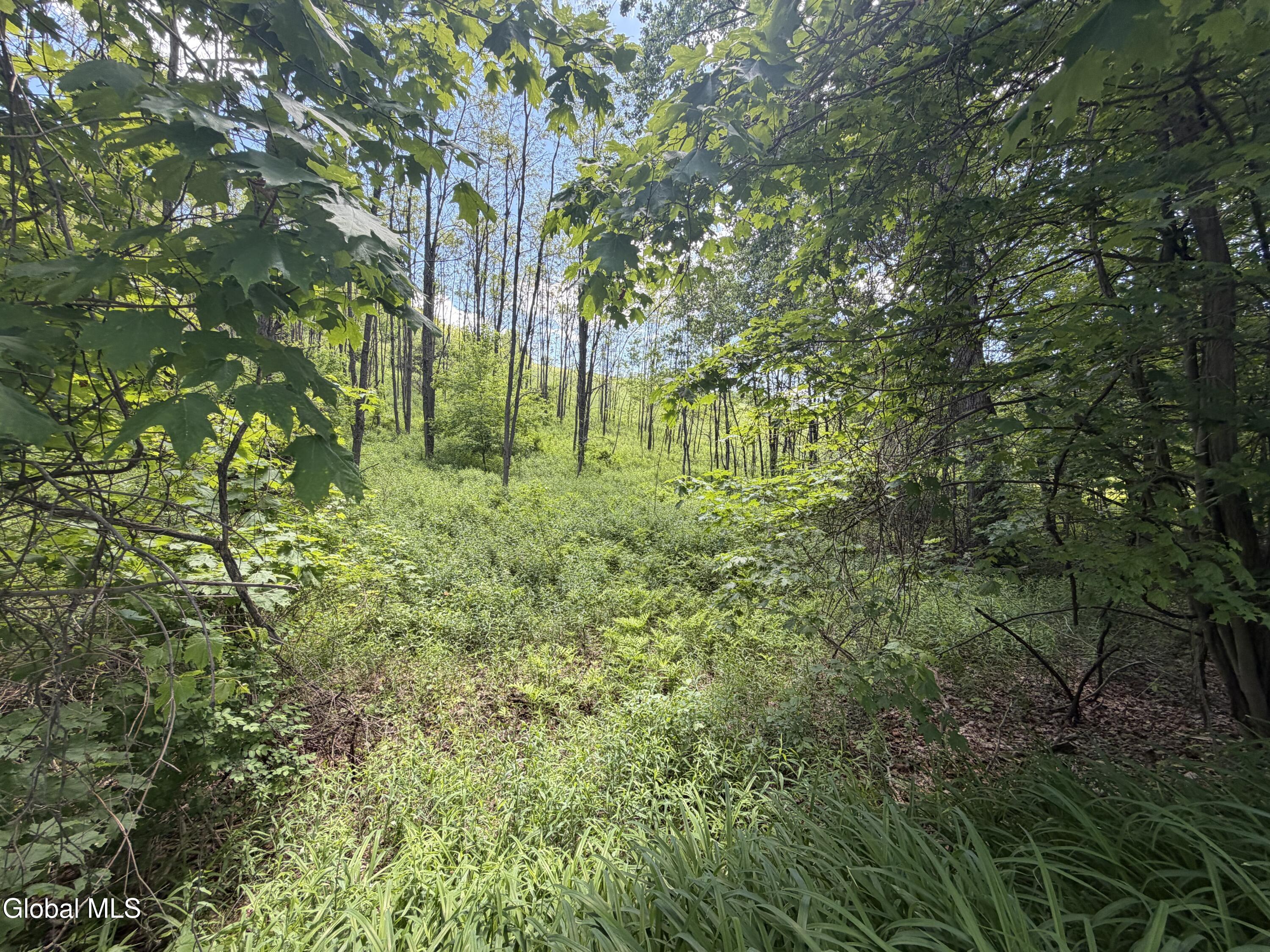 0 Aldous Road Granville NY 12832