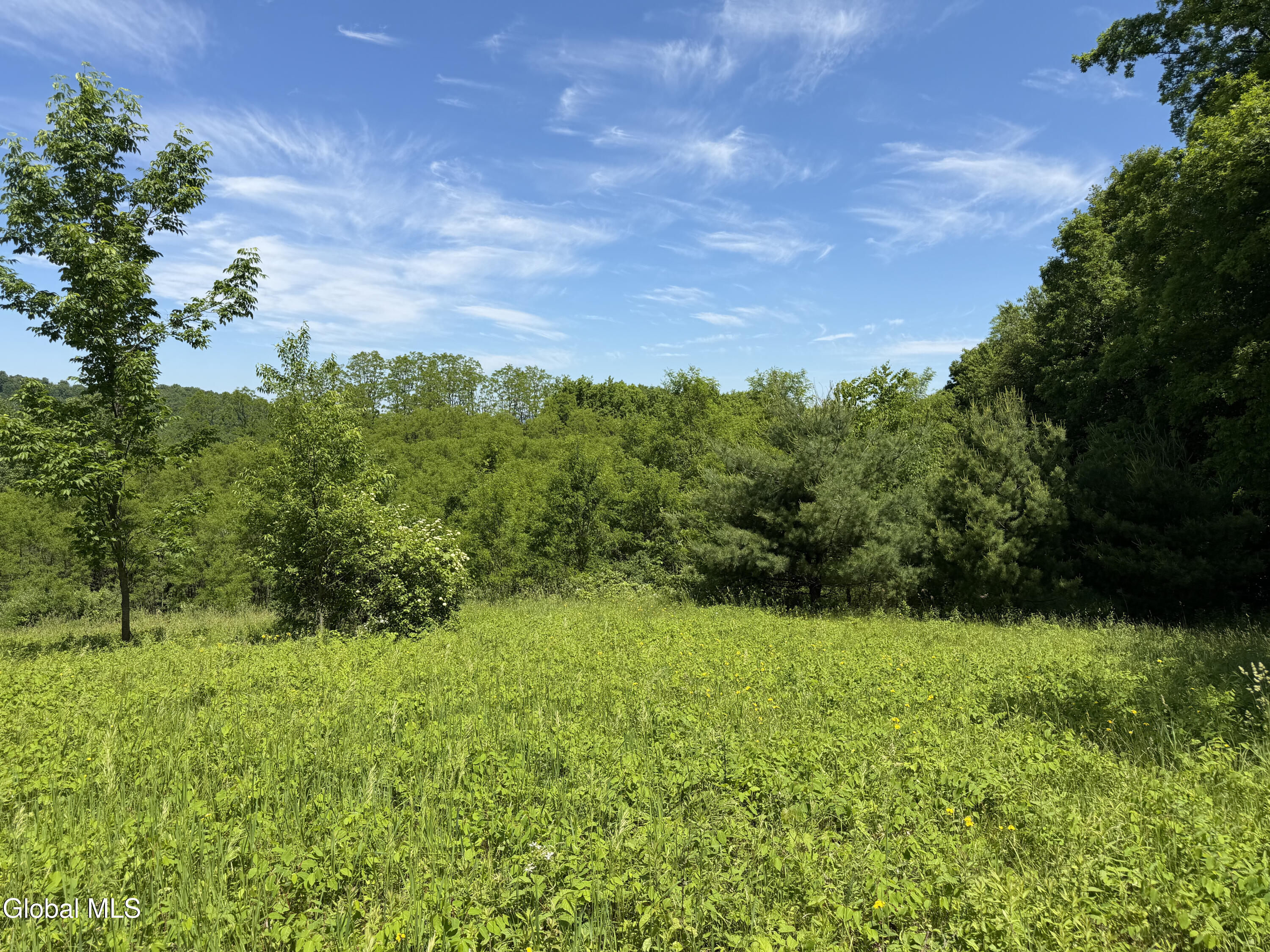 0 Aldous Road Granville NY 12832