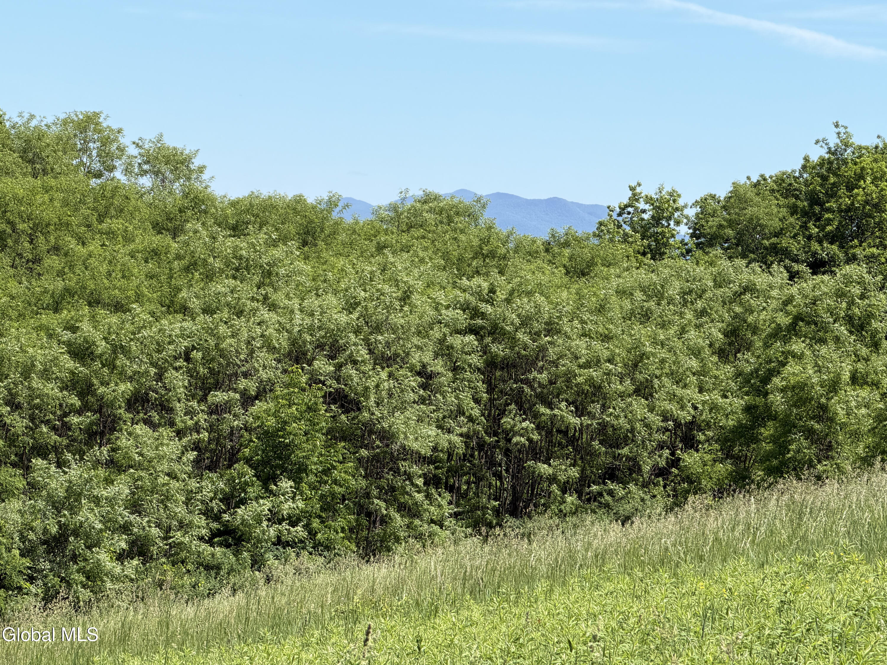 0 Aldous Road Granville NY 12832