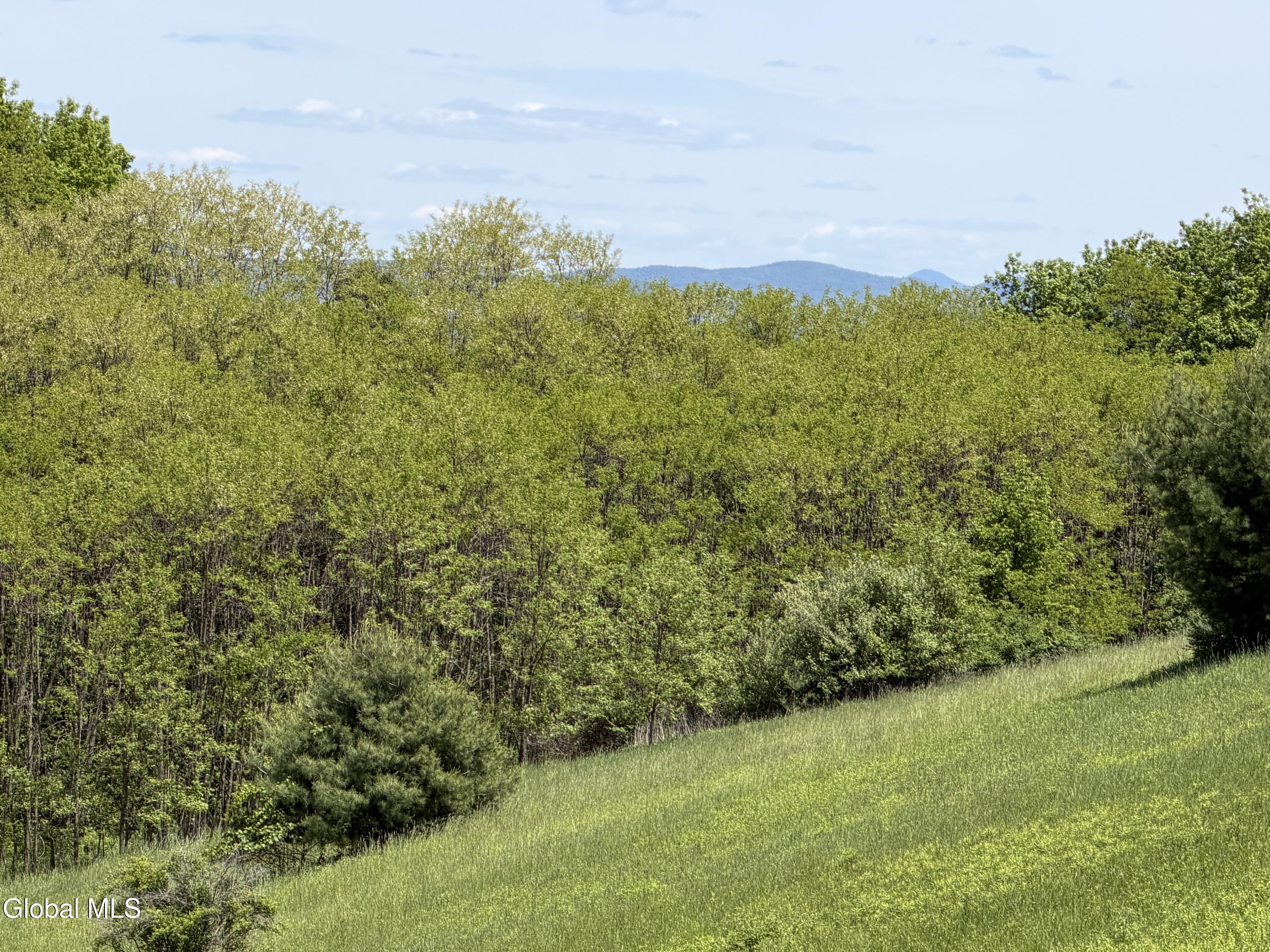 0 Aldous Road Granville NY 12832