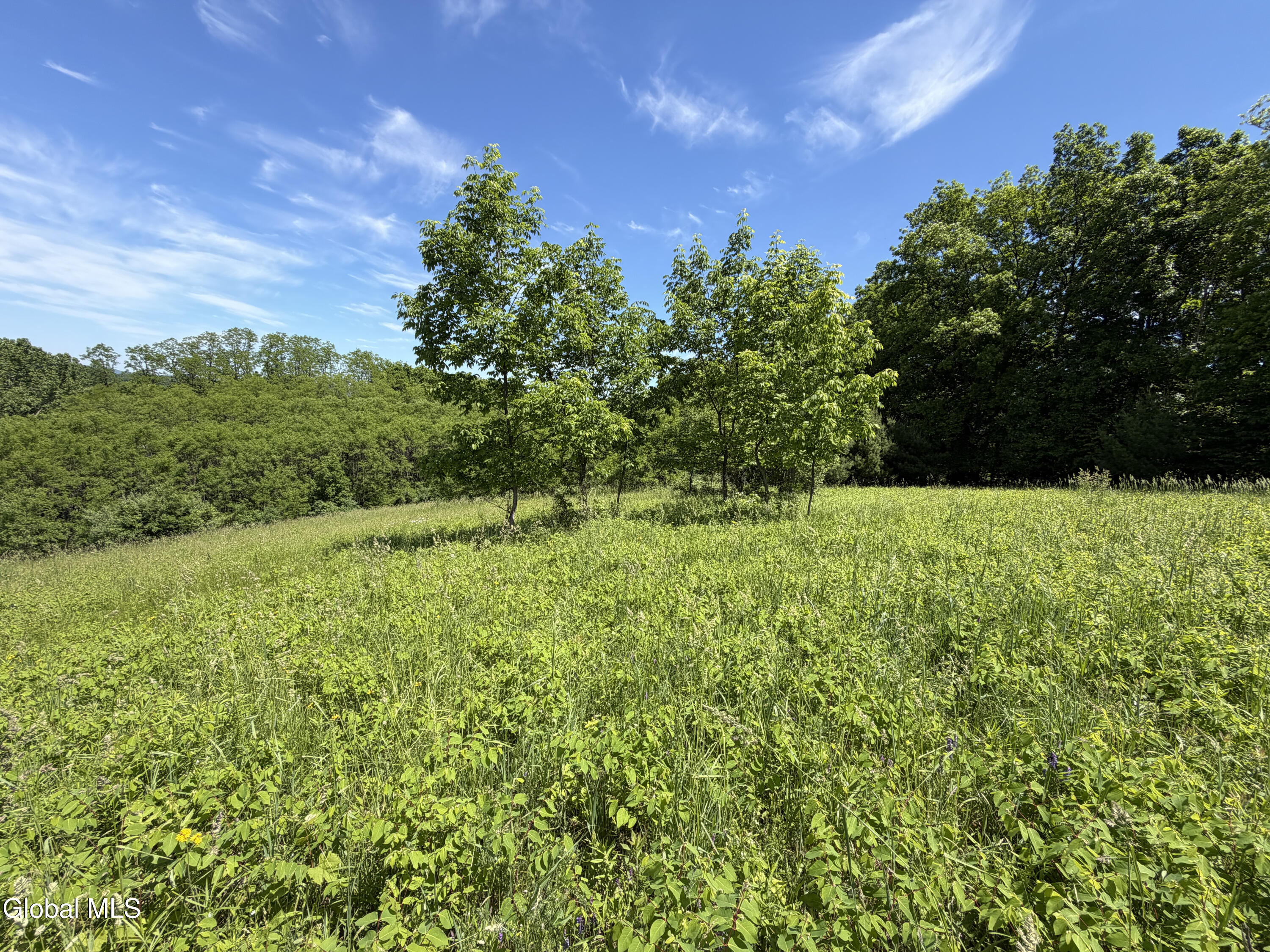 0 Aldous Road Granville NY 12832