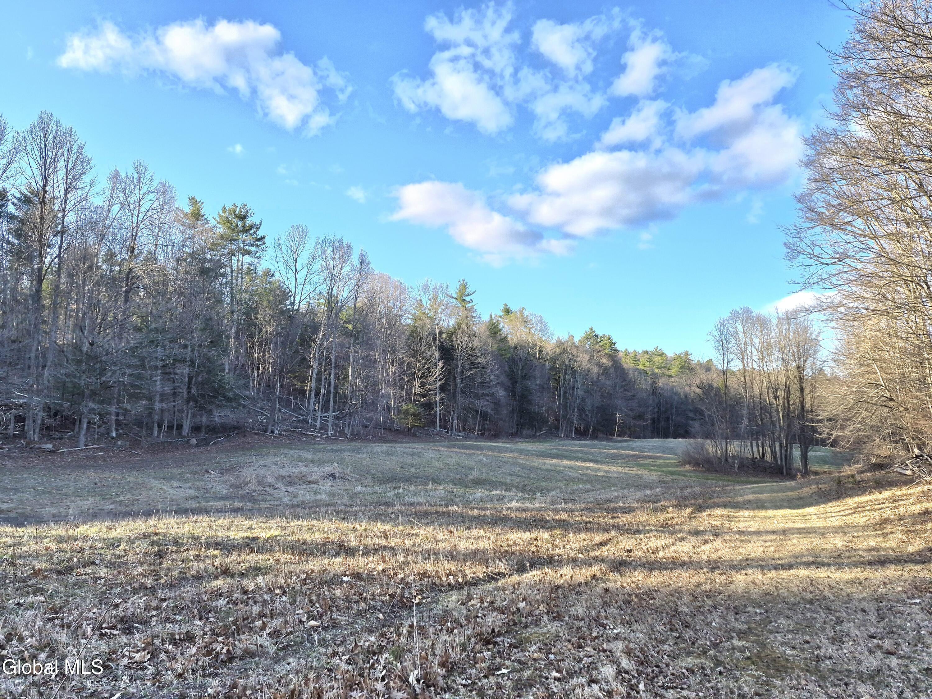 L-2.3 Goodman Road Fort Ann NY 12827