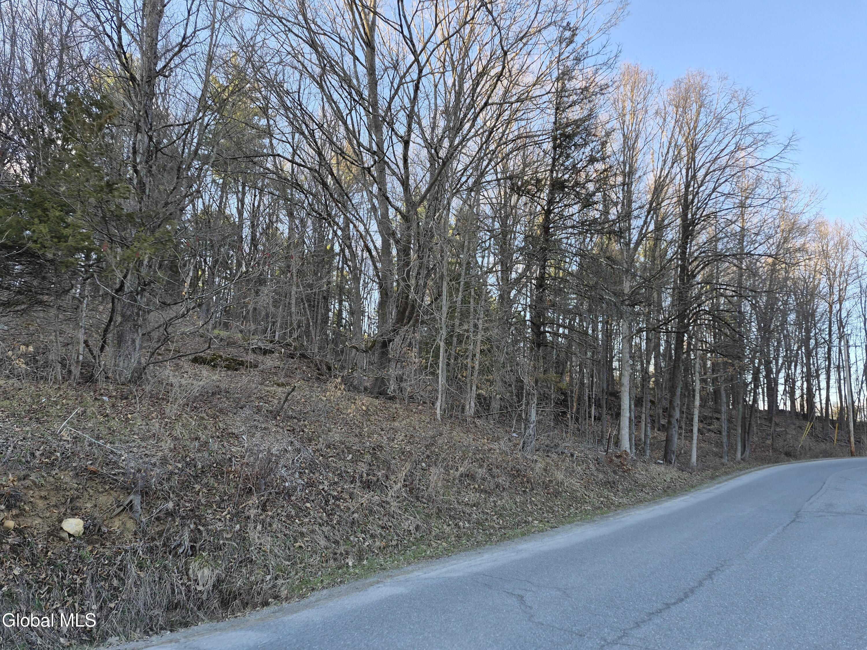 L-2.3 Goodman Road Fort Ann NY 12827