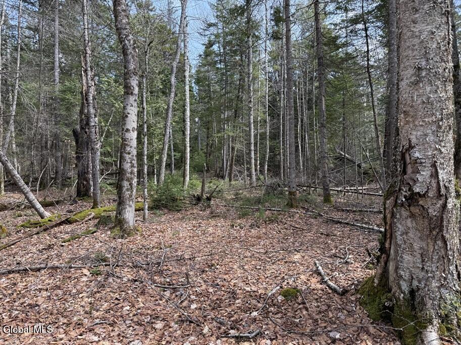 L34.1 Youngs Road Schroon Lake NY 12870