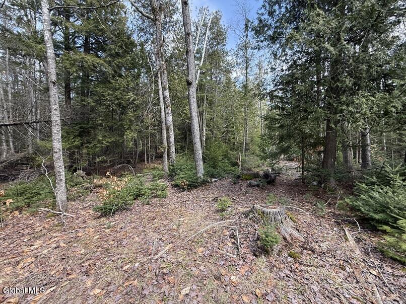 L34.1 Youngs Road Schroon Lake NY 12870