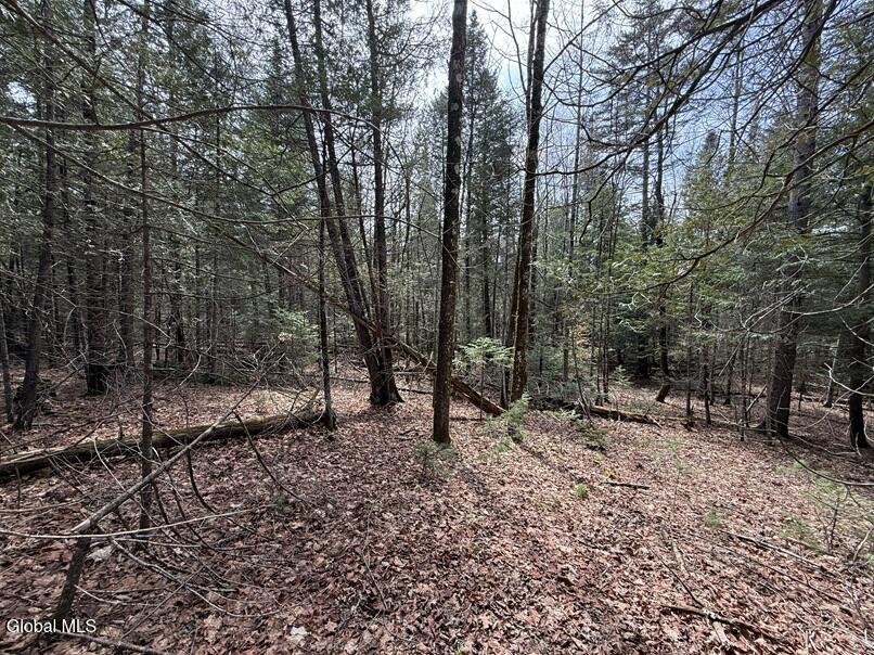 L34.1 Youngs Road Schroon Lake NY 12870