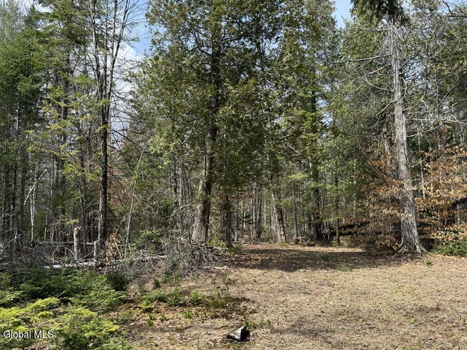 L34.1 Youngs Road Schroon Lake NY 12870