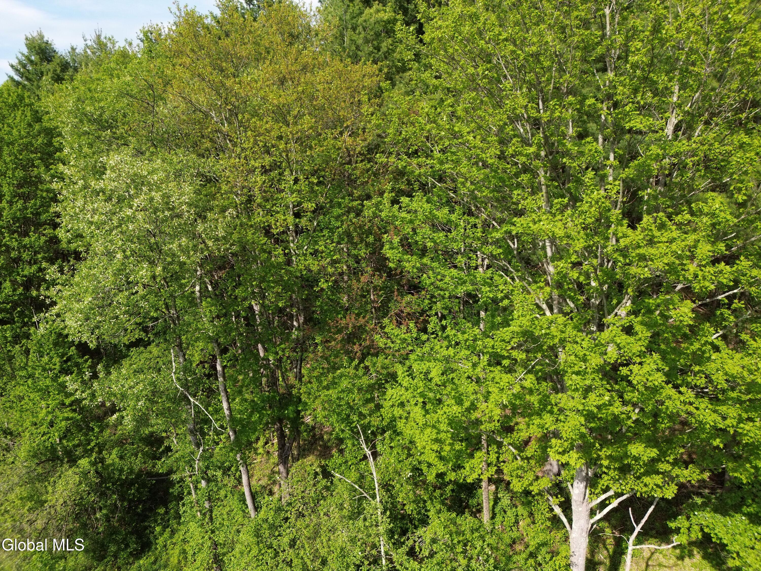 264 Conley Road Cambridge NY 12816