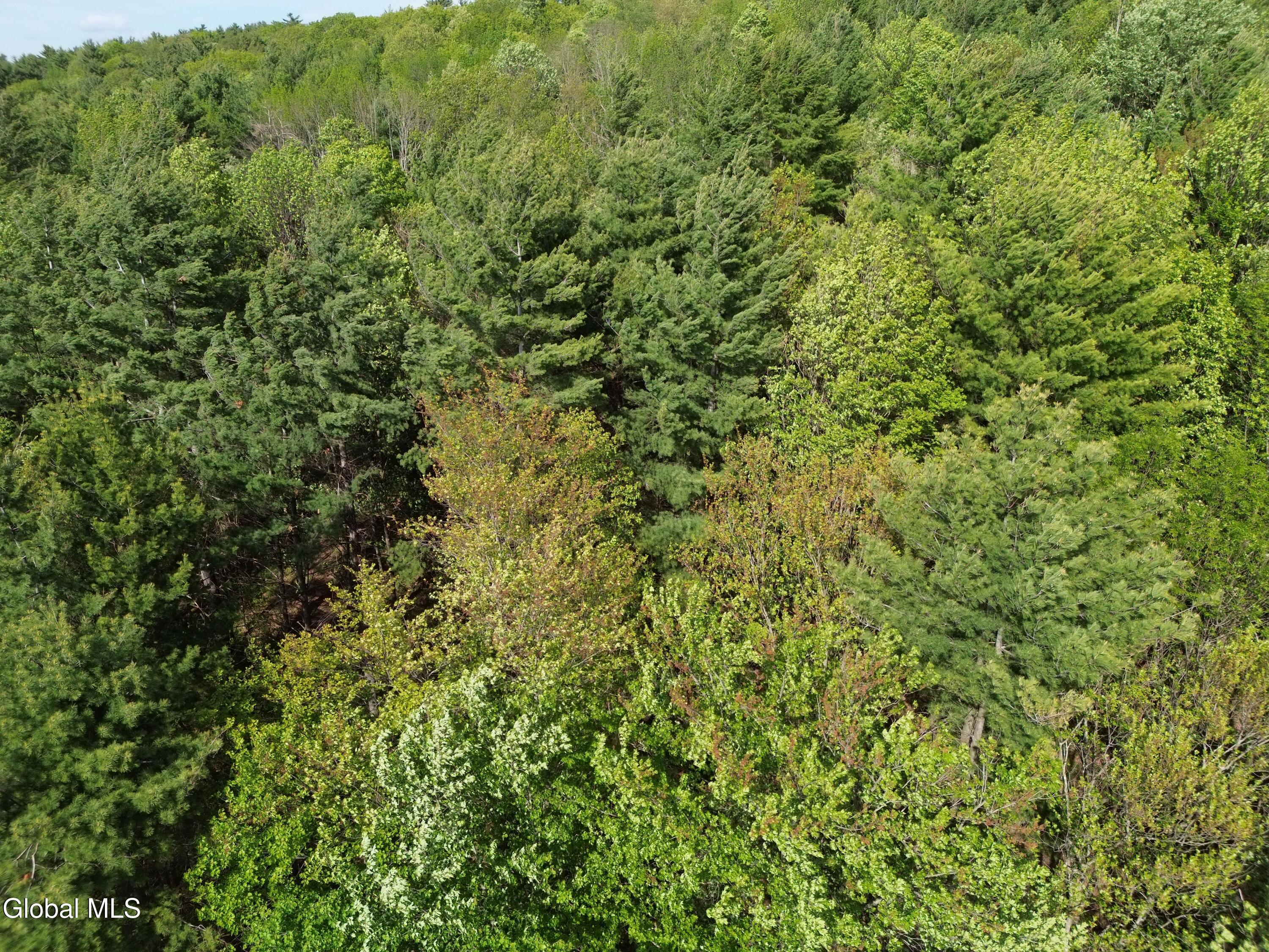 264 Conley Road Cambridge NY 12816