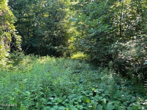 153 Richmond Heights Richmondville NY 12149