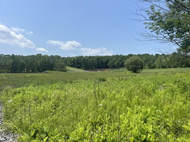 184 Curry Hill Road Sloansville NY 12160