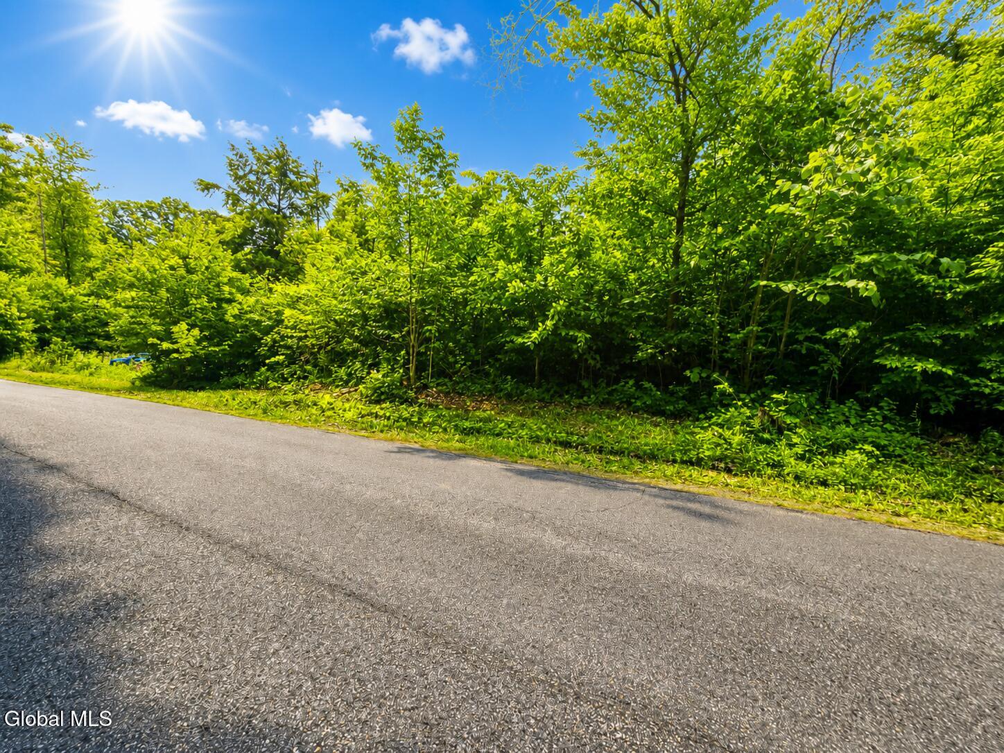203 Watershed Road Johnstown NY 12095