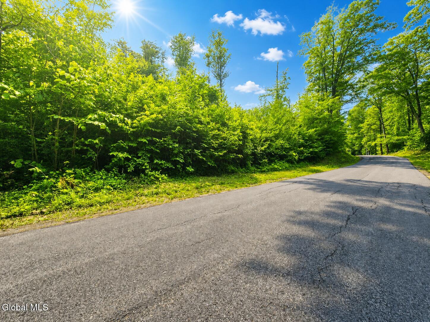 203 Watershed Road Johnstown NY 12095
