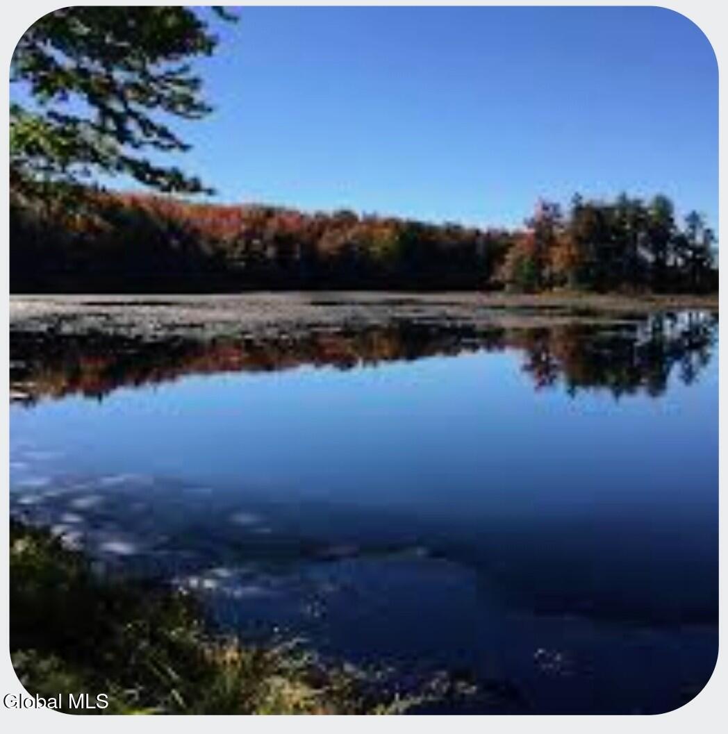 234 Cranberry Pond Road Cropseyville NY 12052