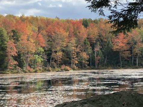 234 Cranberry Pond Road Cropseyville NY 12052