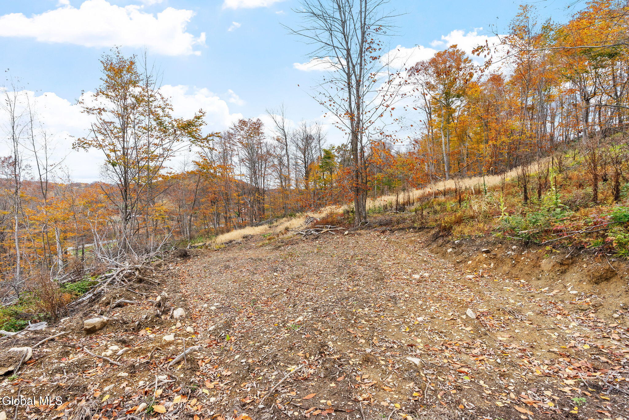 5736 State Route 22 Salem NY 12865
