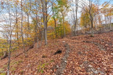 5736 State Route 22 Salem NY 12865