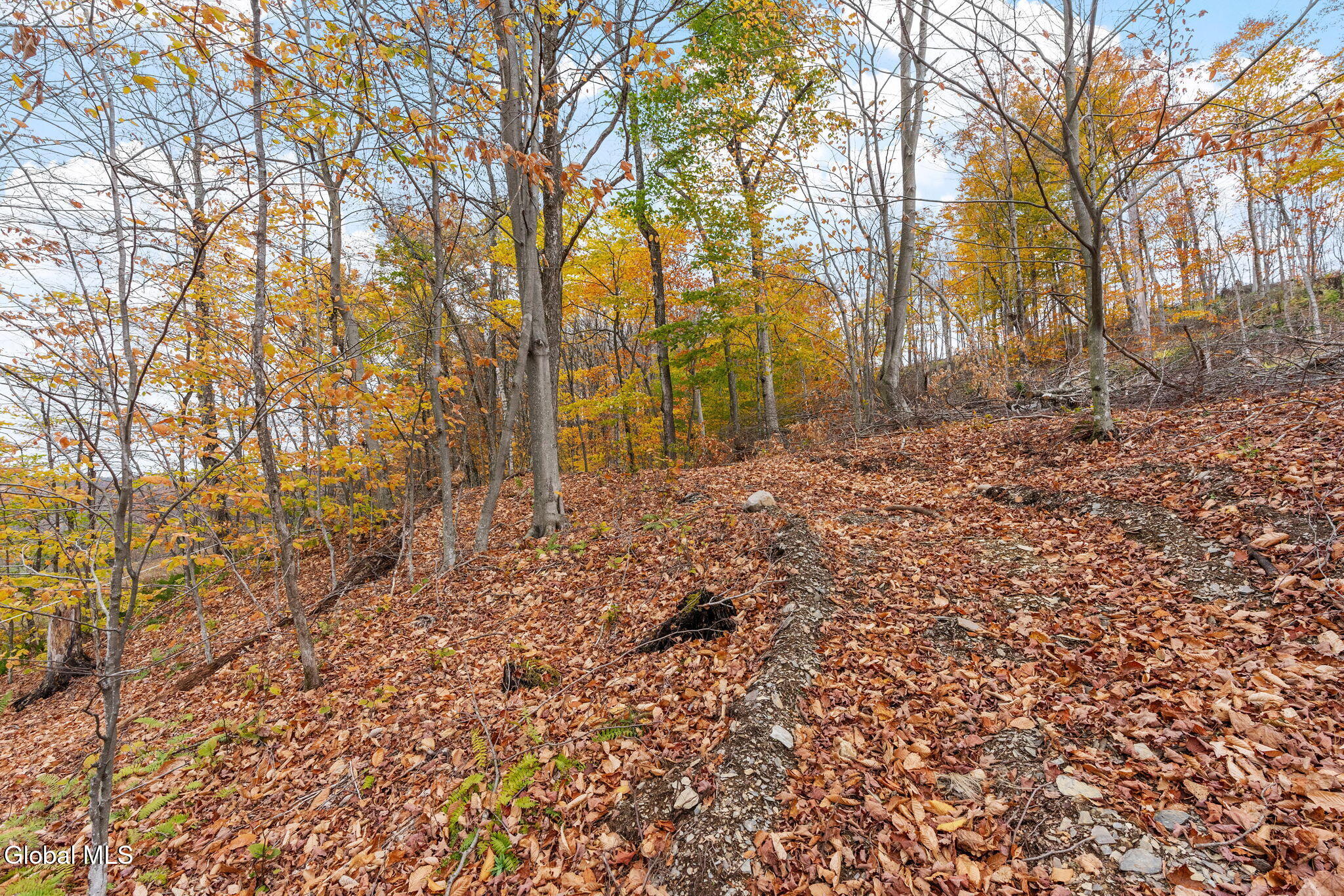 5736 State Route 22 Salem NY 12865