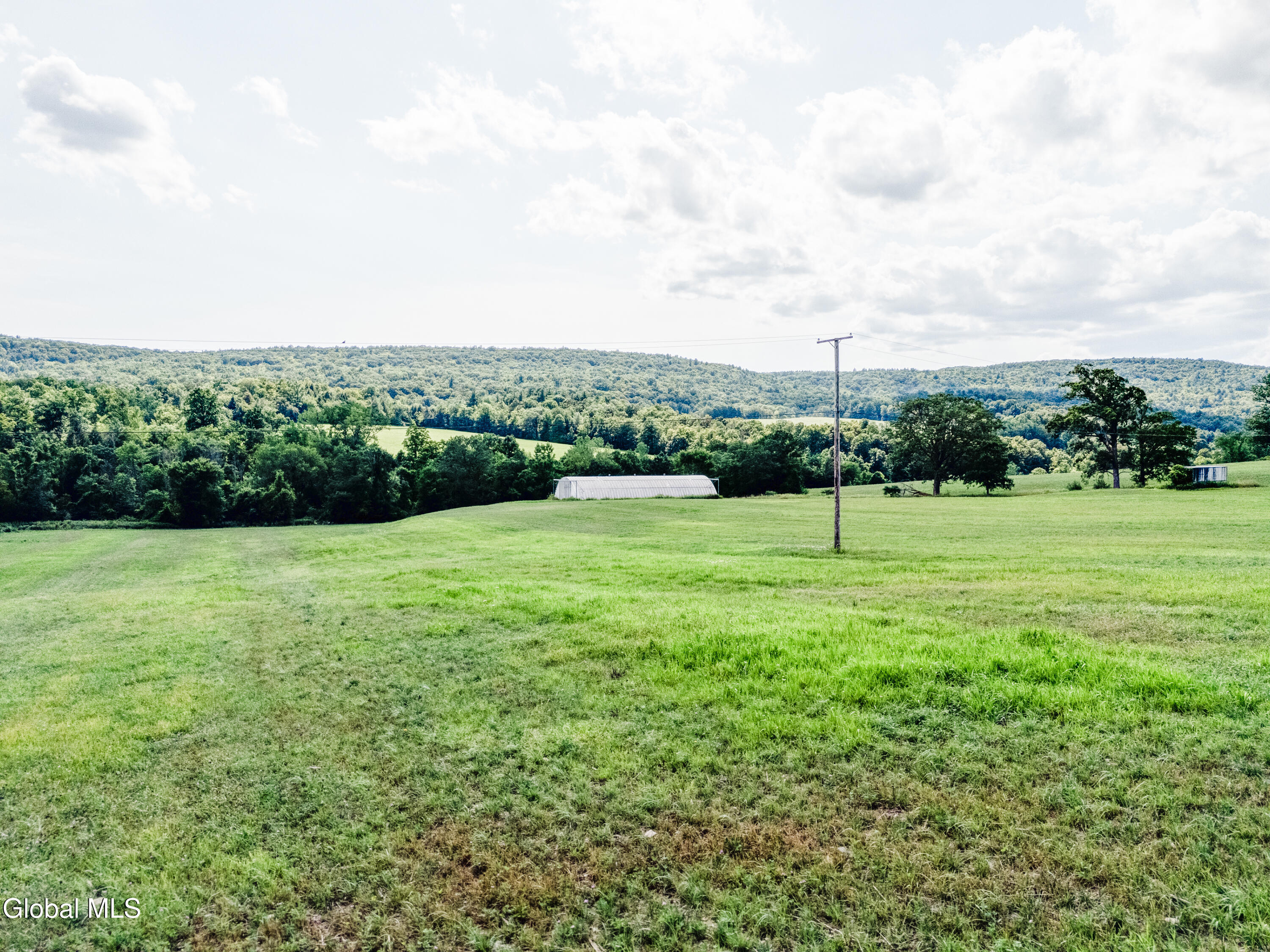 1589 Switzkill Road Berne NY 12023