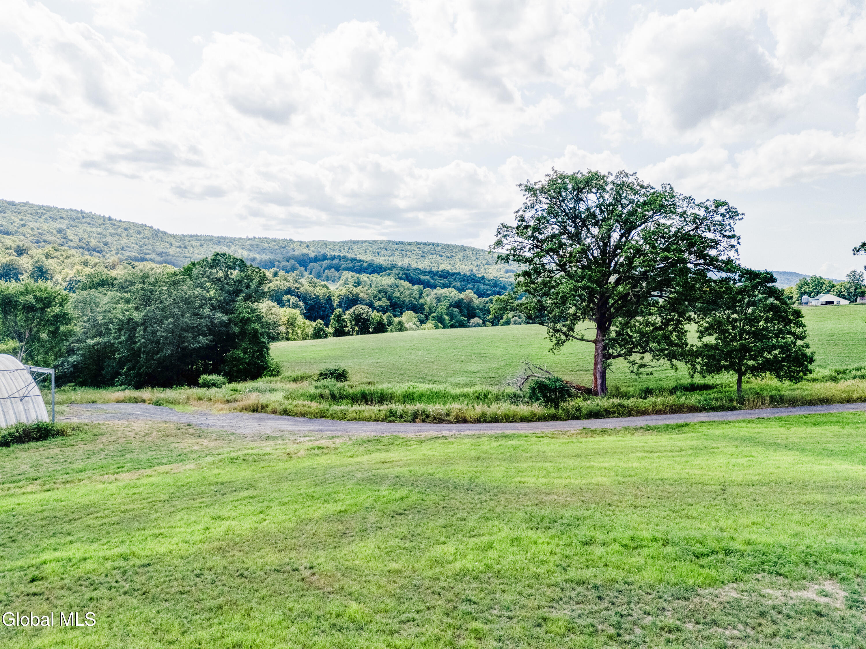 1589 Switzkill Road Berne NY 12023