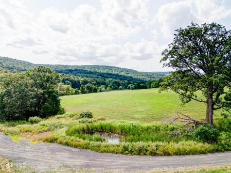 1589 Switzkill Road Berne NY 12023