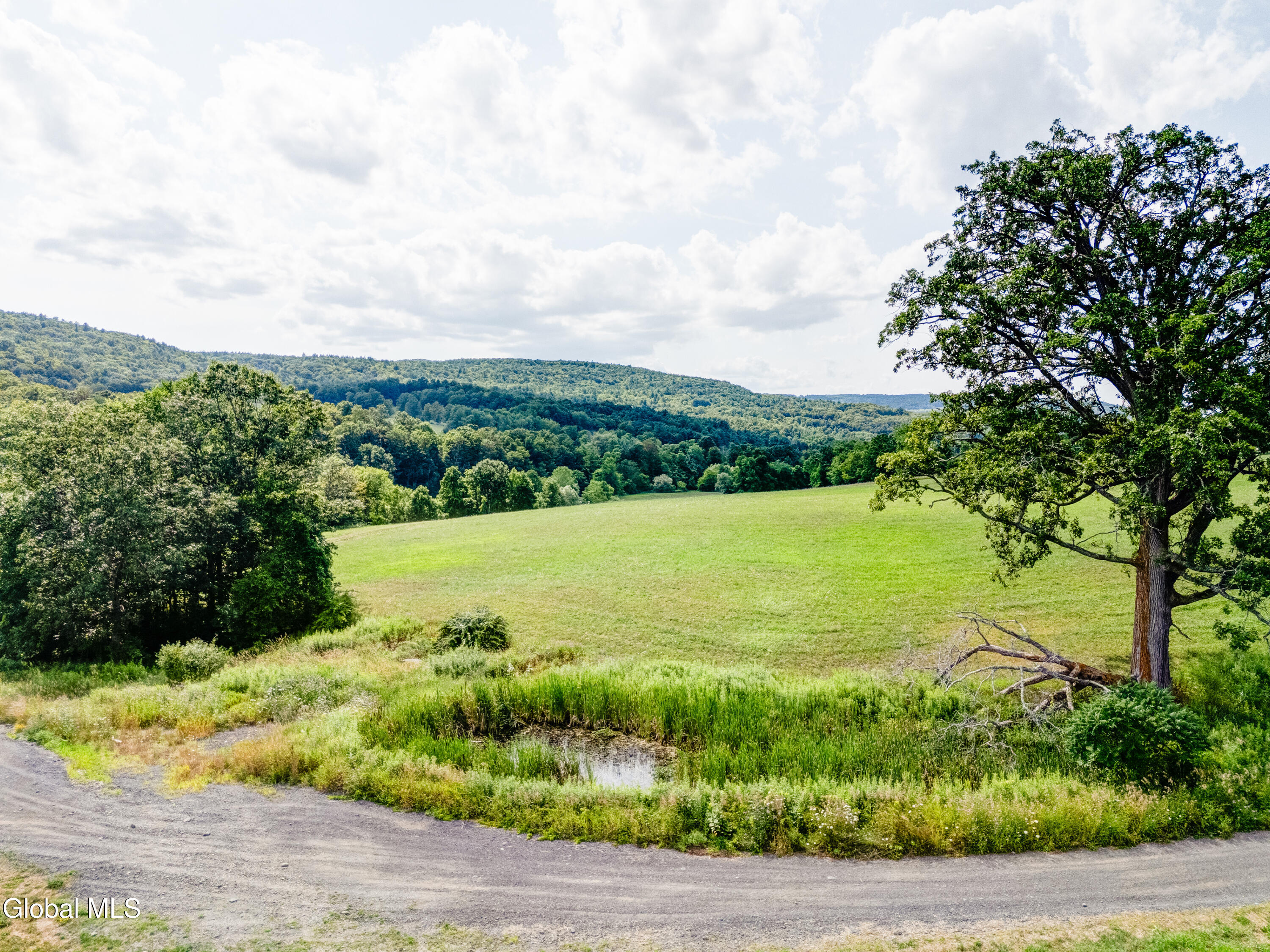 1589 Switzkill Road Berne NY 12023