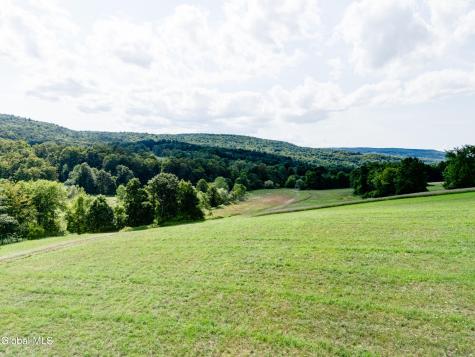1589 Switzkill Road Berne NY 12023