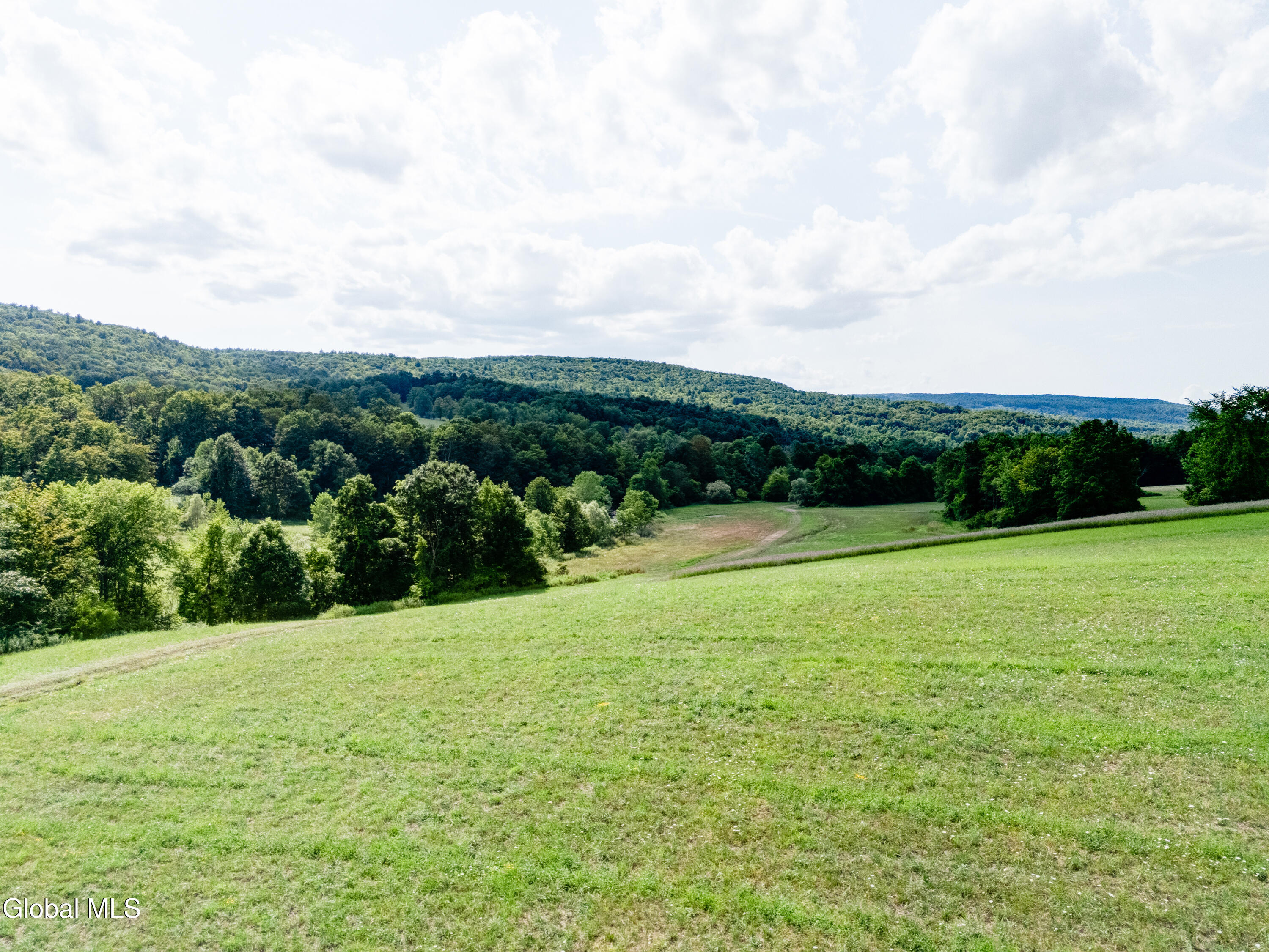 1589 Switzkill Road Berne NY 12023