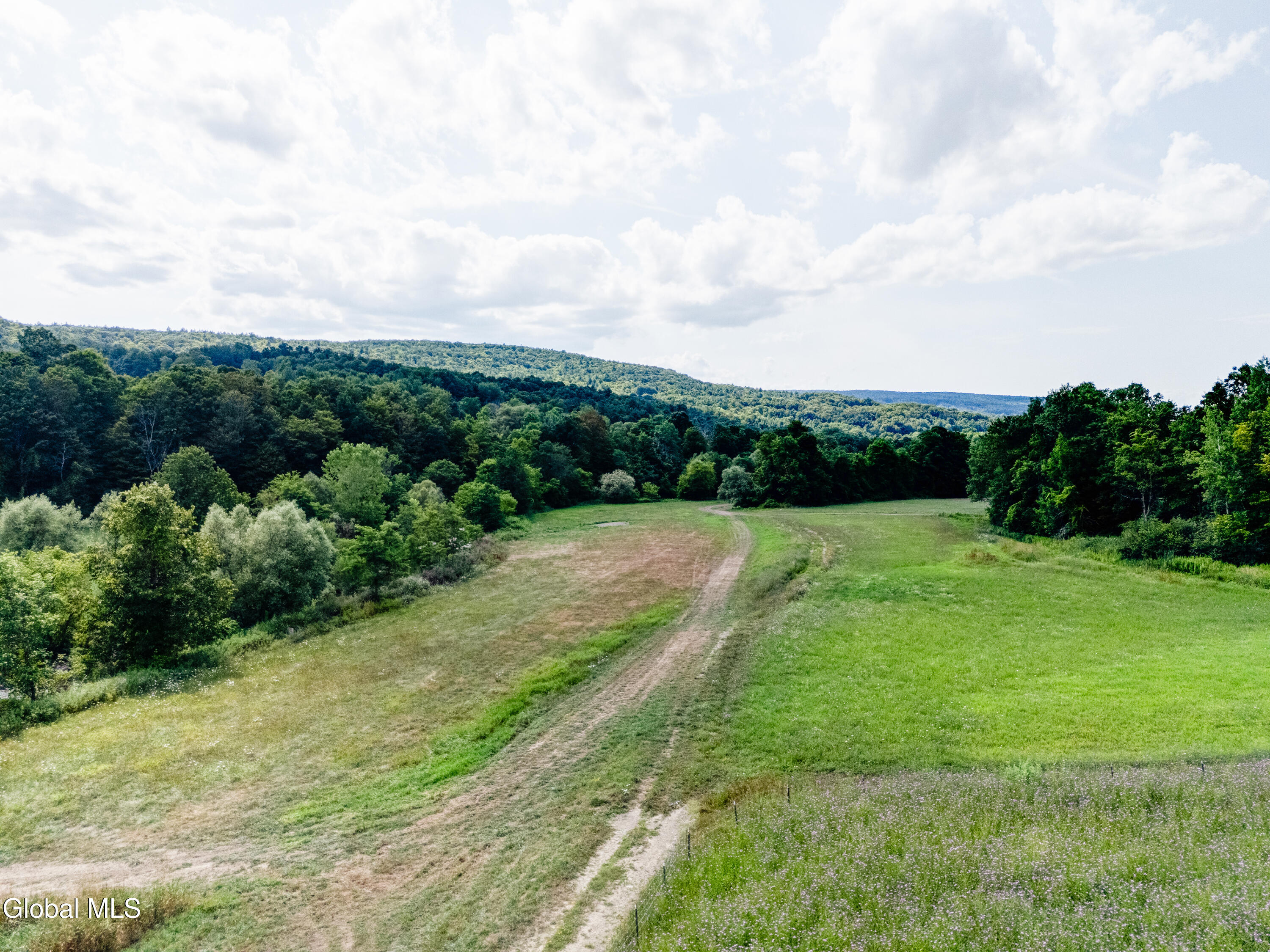 1589 Switzkill Road Berne NY 12023