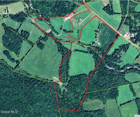1589 Switzkill Road Berne NY 12023