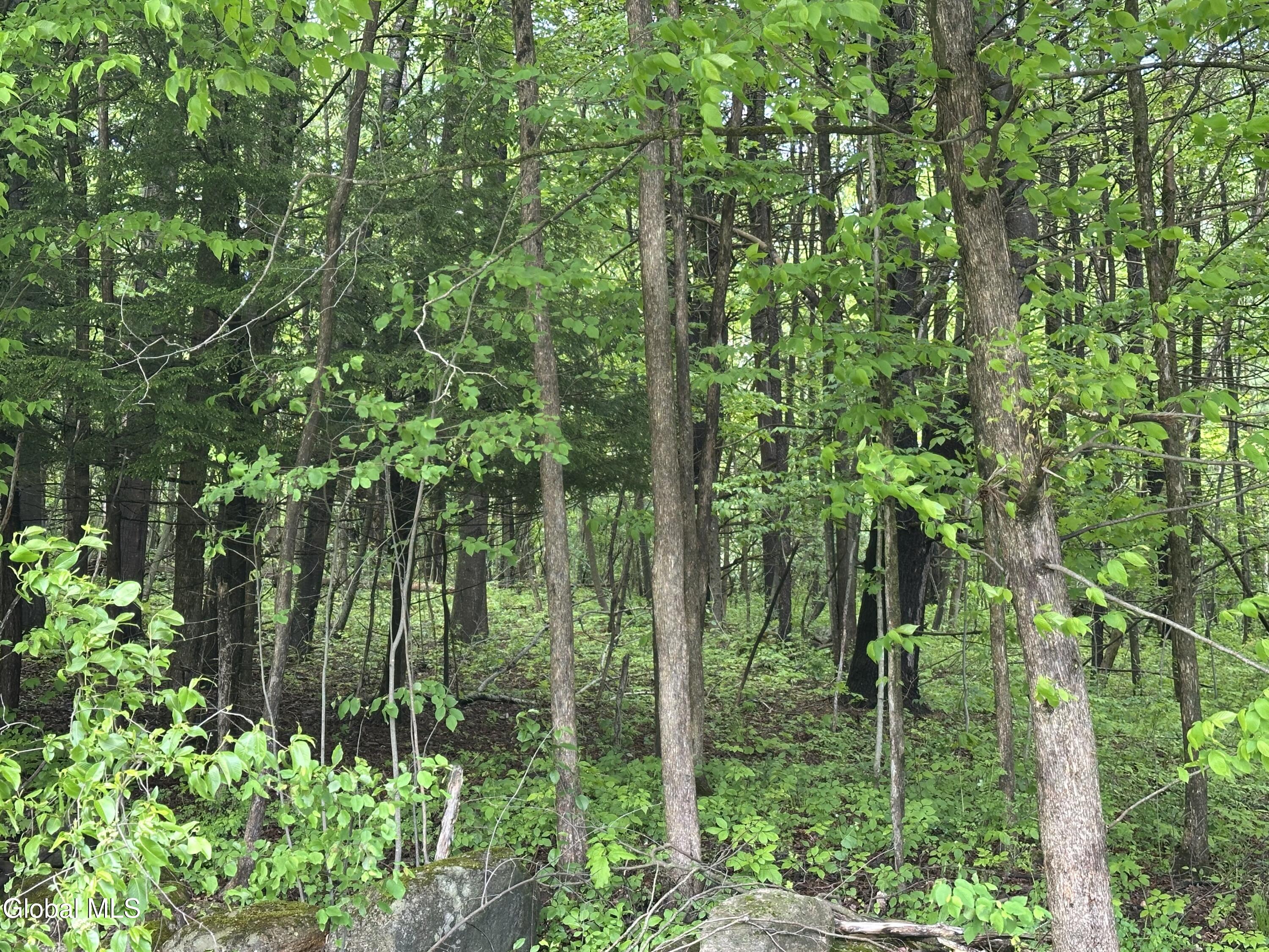 420 Tillboro Road St Johnsville NY 13452