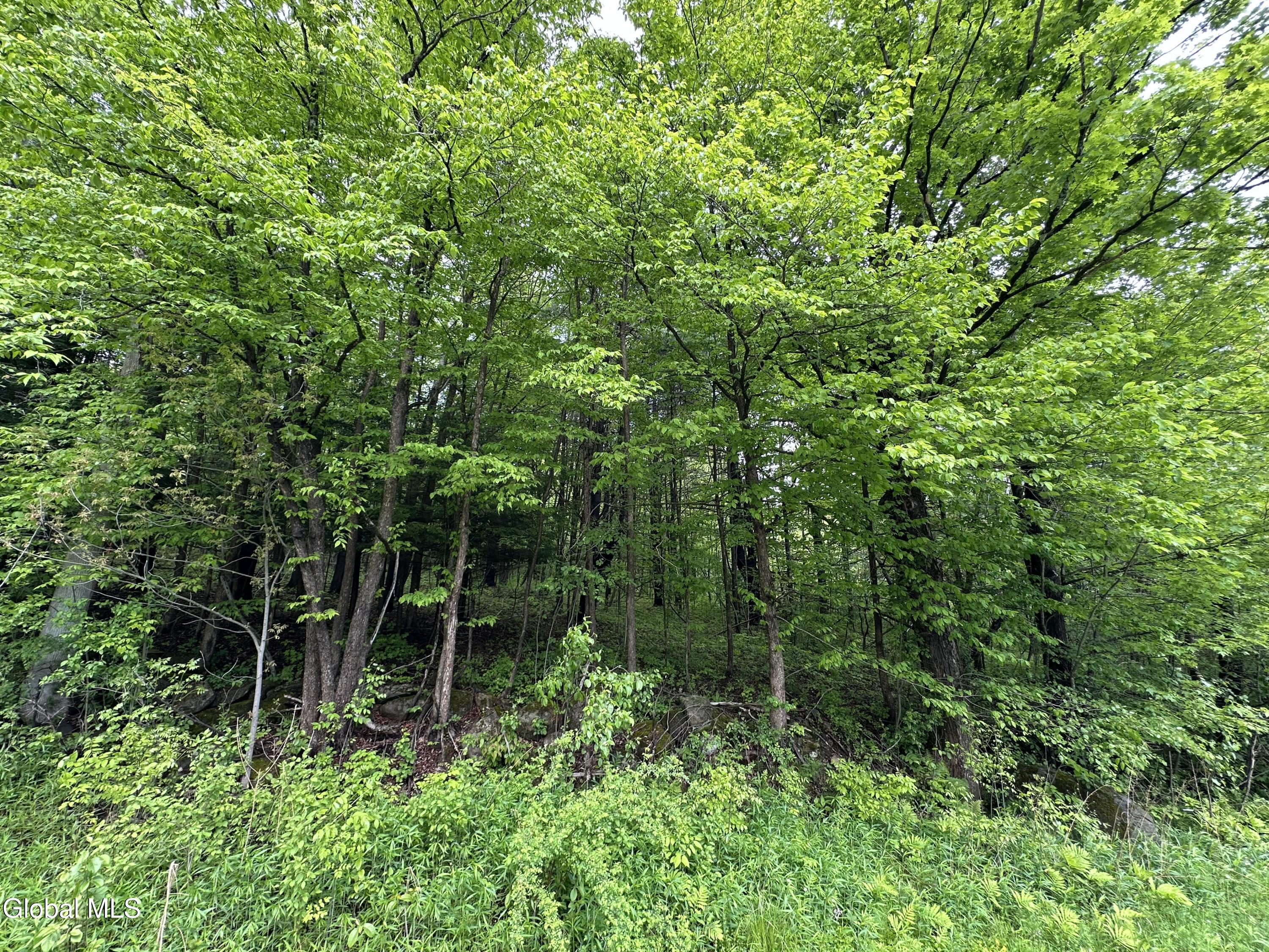 420 Tillboro Road St Johnsville NY 13452