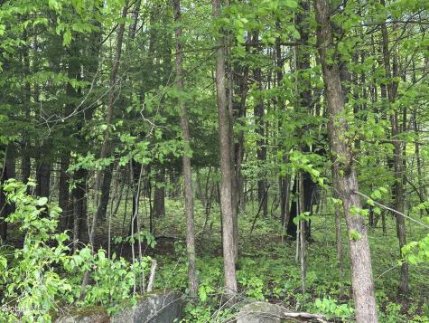 420 Tillboro Road St Johnsville NY 13452