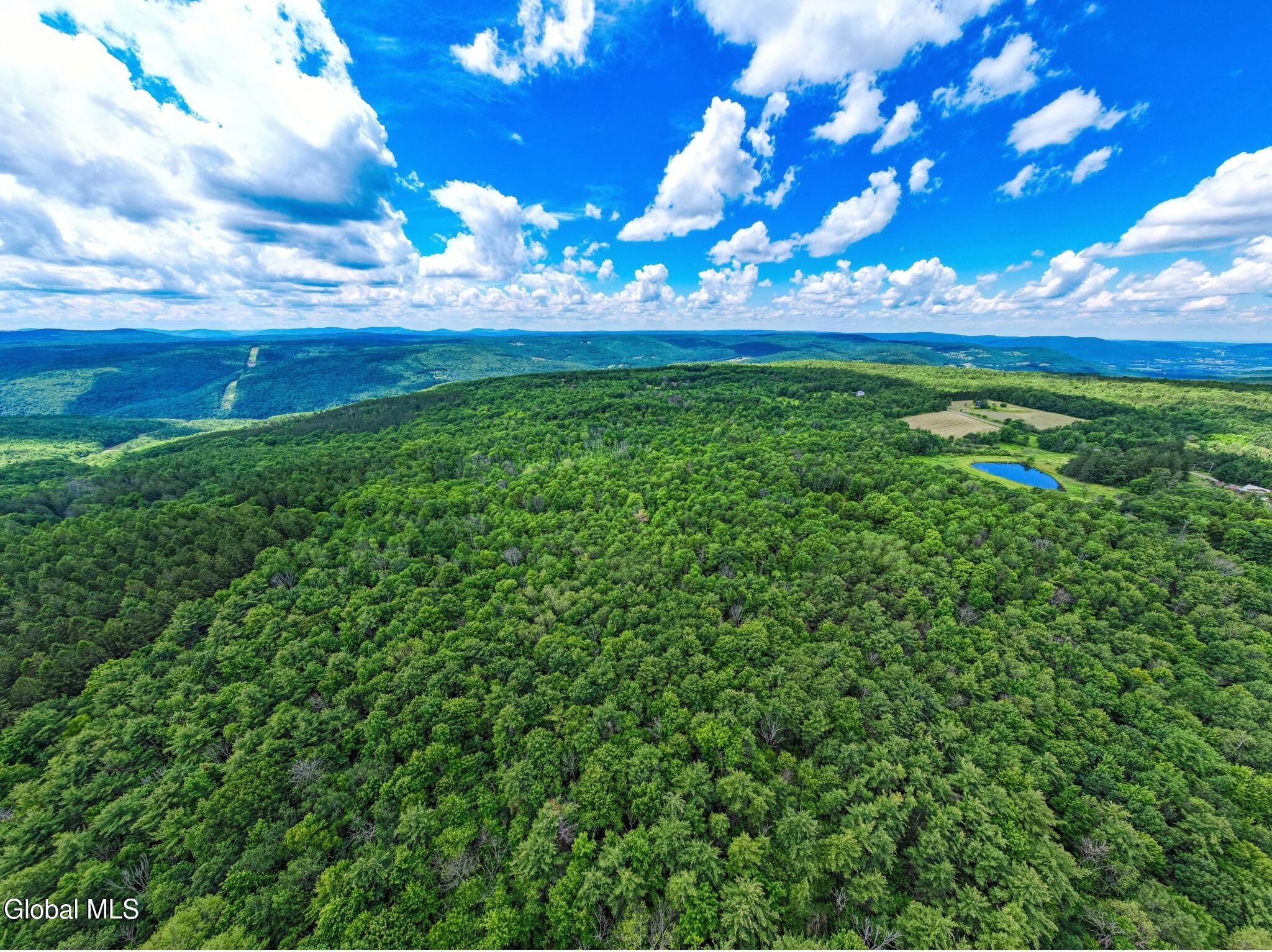 L4.112 Anderson Road Broome NY 12122
