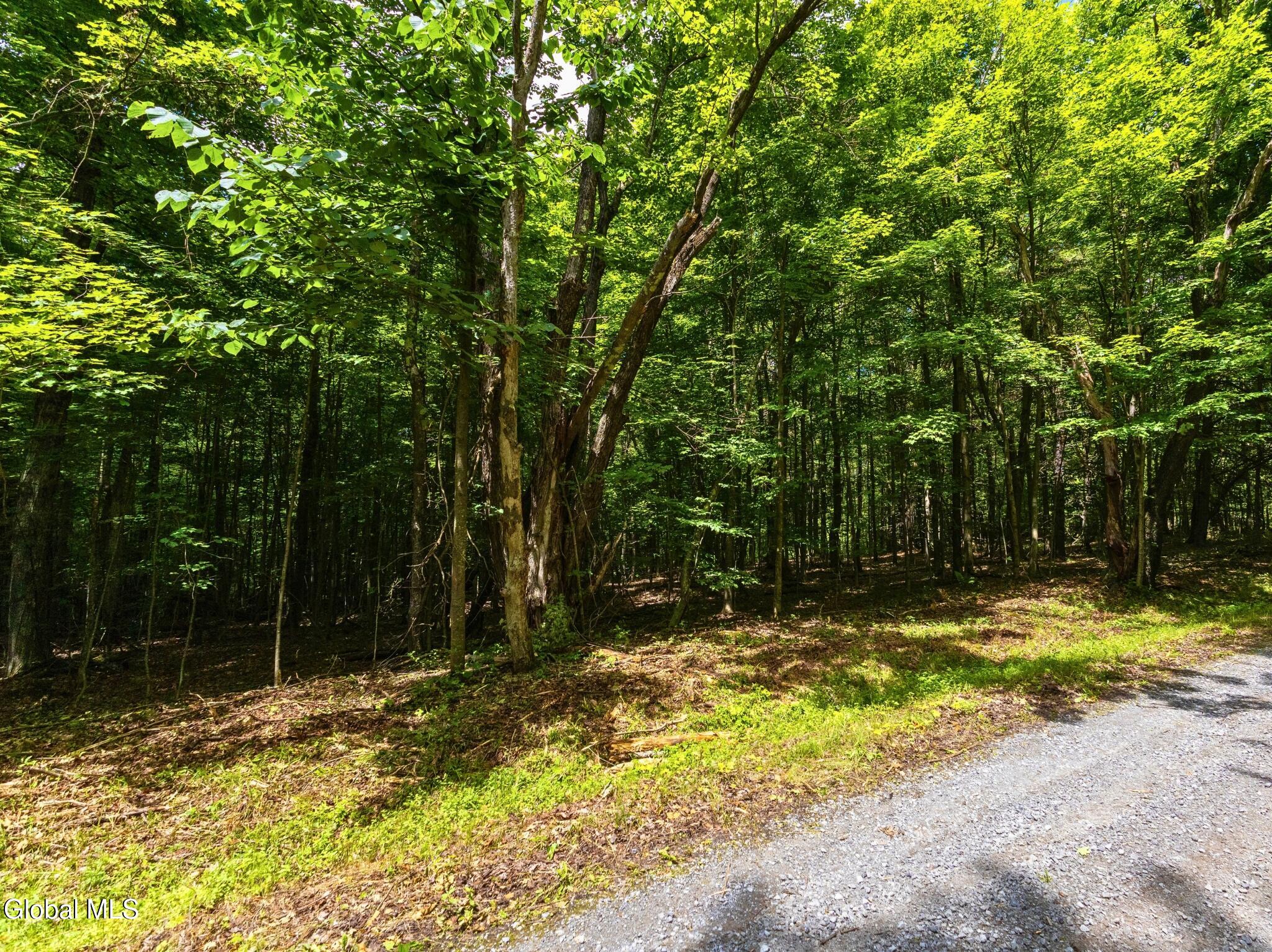 L4.112 Anderson Road Broome NY 12122