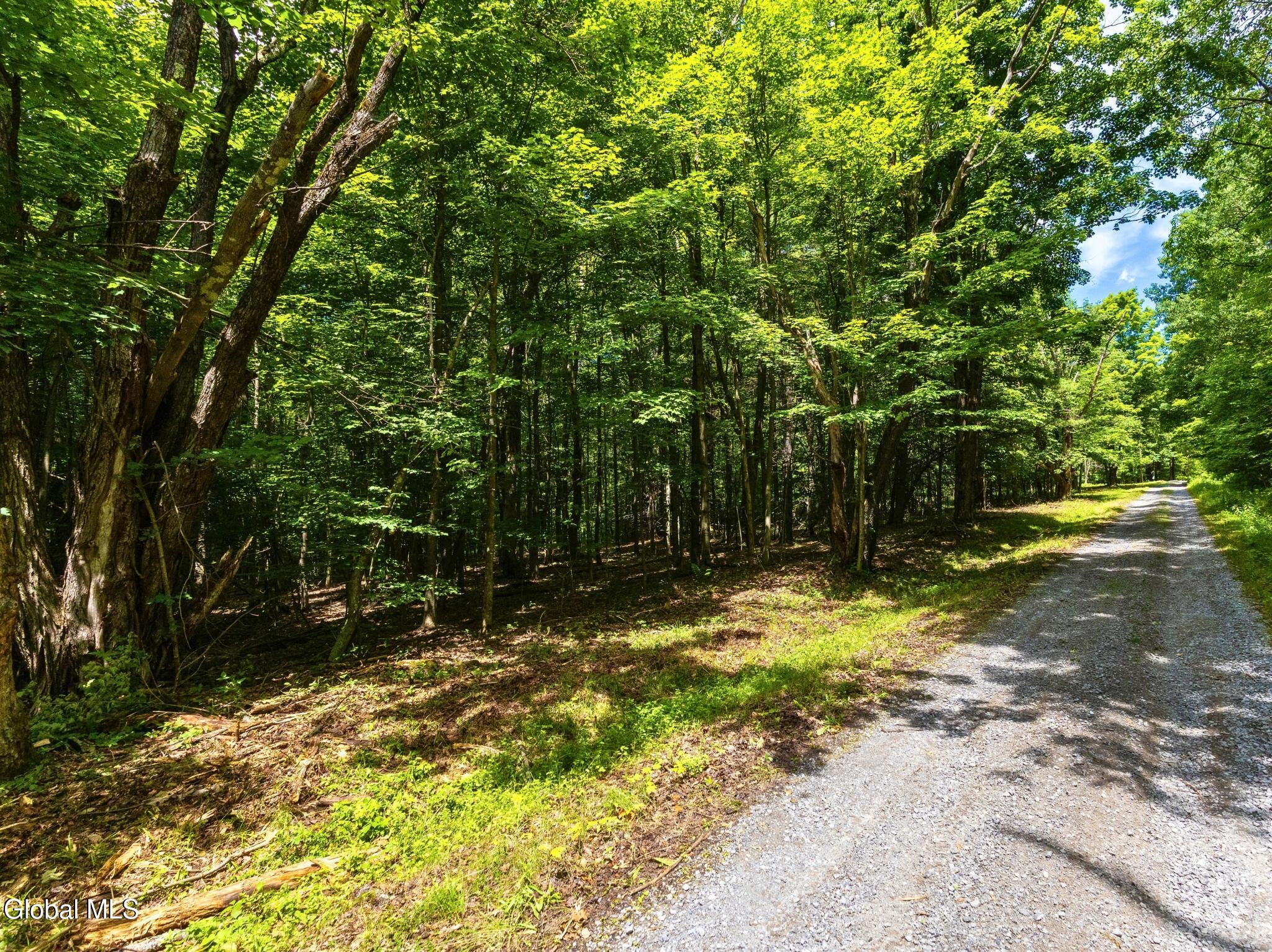 L4.112 Anderson Road Broome NY 12122