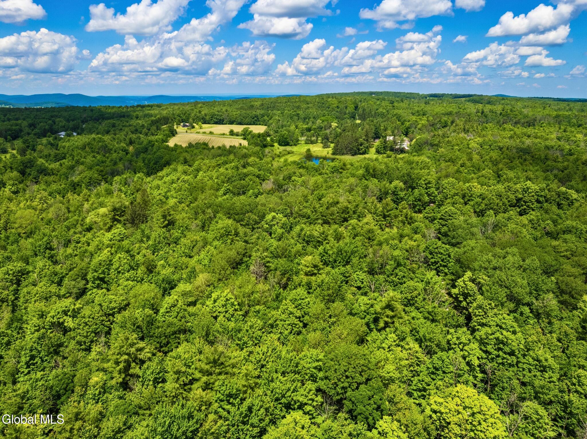 L4.112 Anderson Road Broome NY 12122